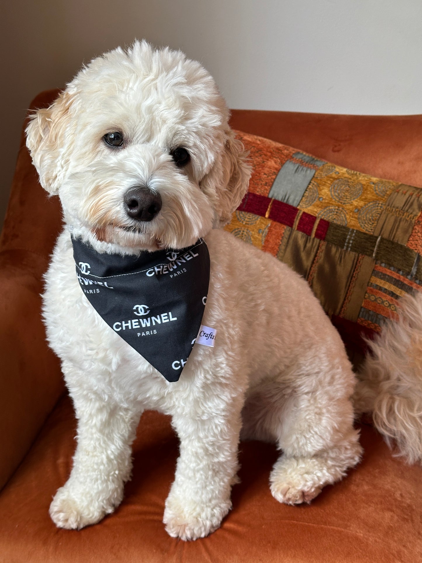 Cotton Pet Bandana with collar attachment - ‘Chew’nel