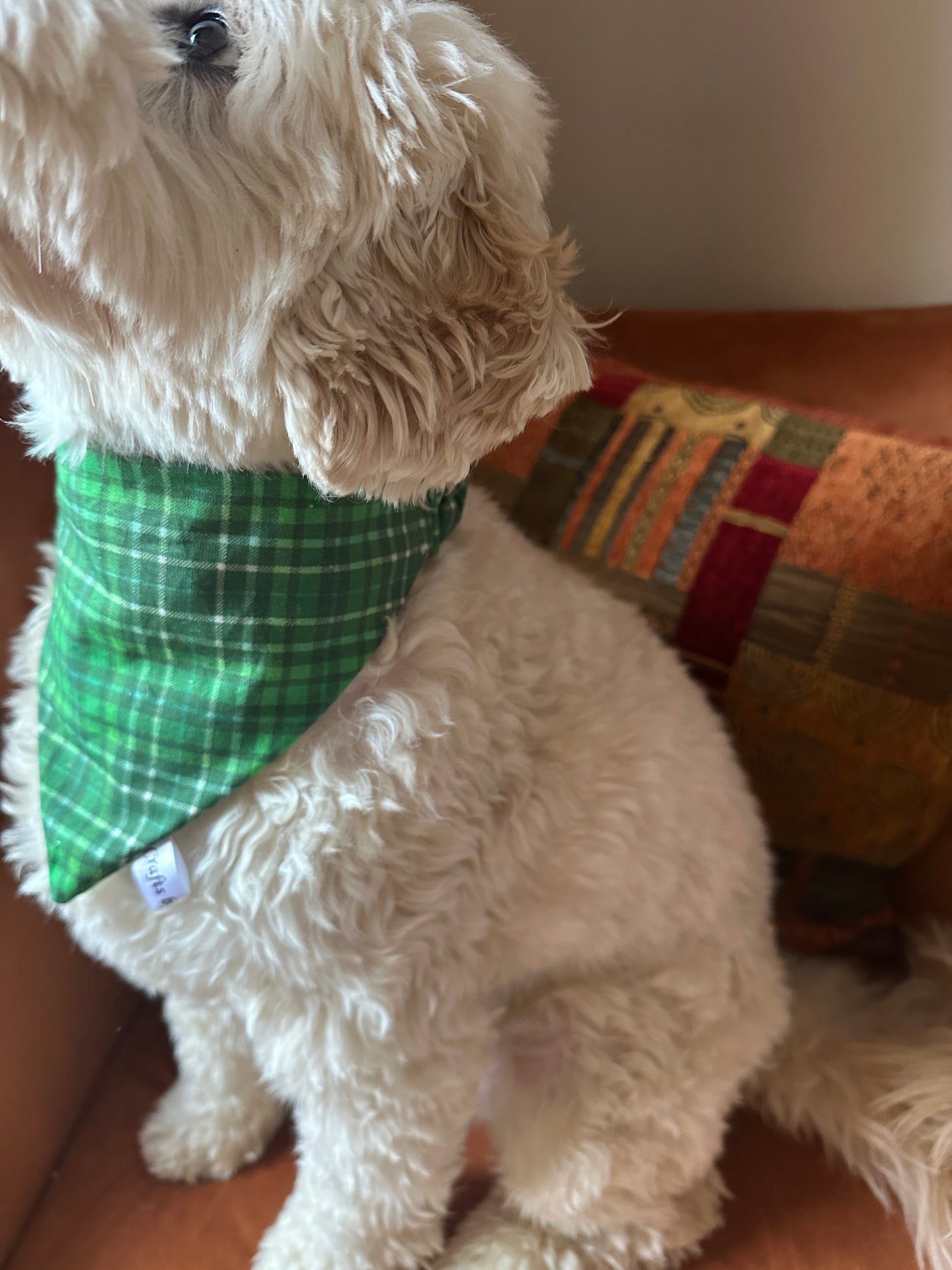 A fluffy white dog sits on a brown couch wearing a Cotton Pet Scrunchie Bandana - Bluey & Bingo by Crafts by Kate, its head slightly turned with a colorful patterned pillow behind it.