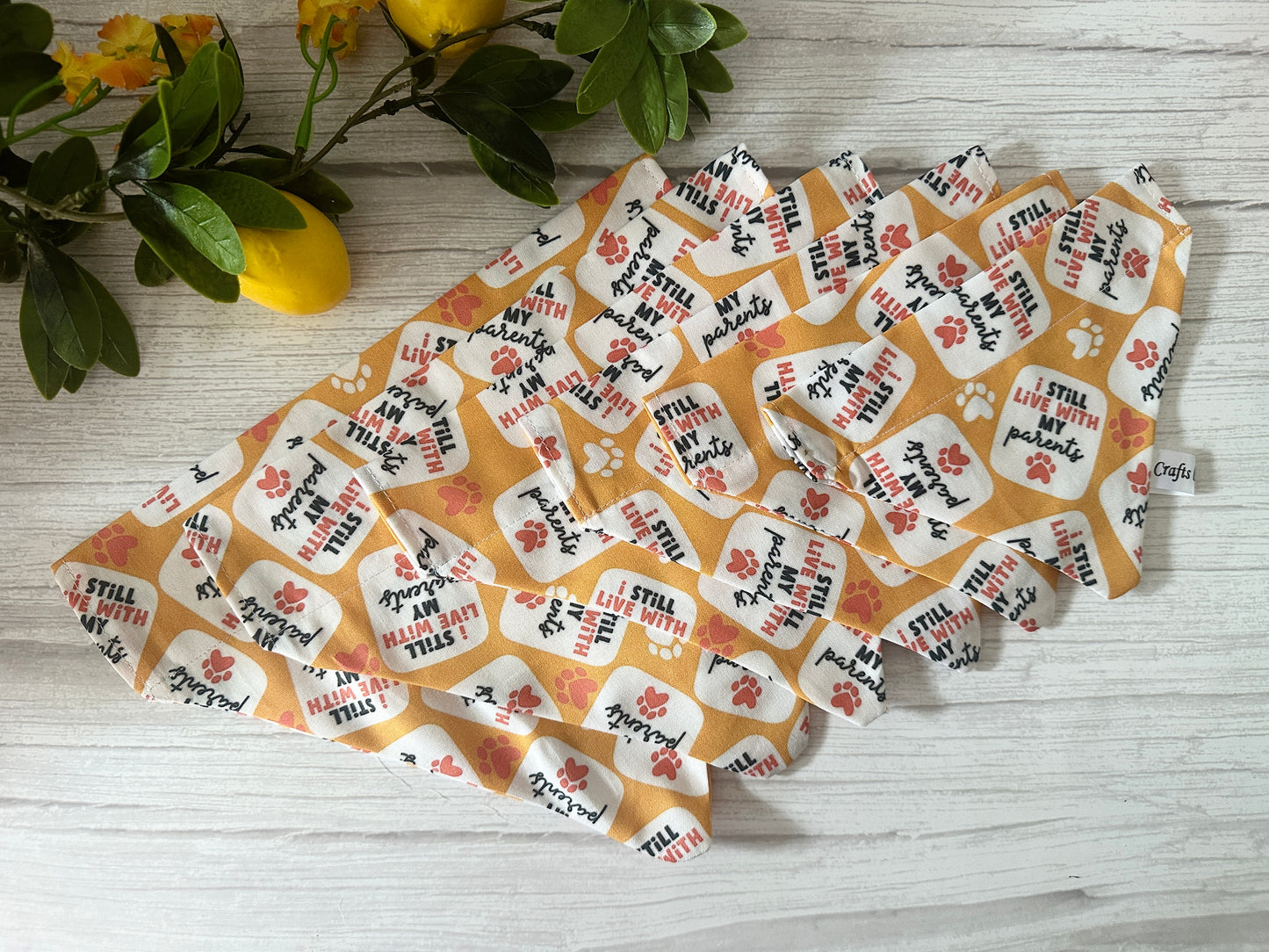 Cotton Pet Bandana with collar attachment - I still live with my parents