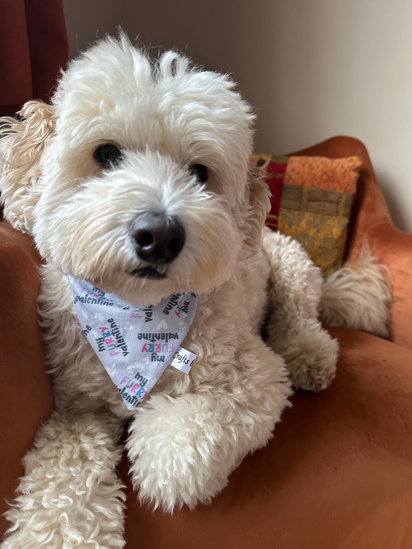 A fluffy white dog lounges on a brown couch, wearing the Crafts by Kate "My Fluffy Valentine" Cotton Pet Bandana with collar attachment. The bandana's colorful patterns captivate as the curious pup gazes at the camera, while light filters softly through the window in the background.