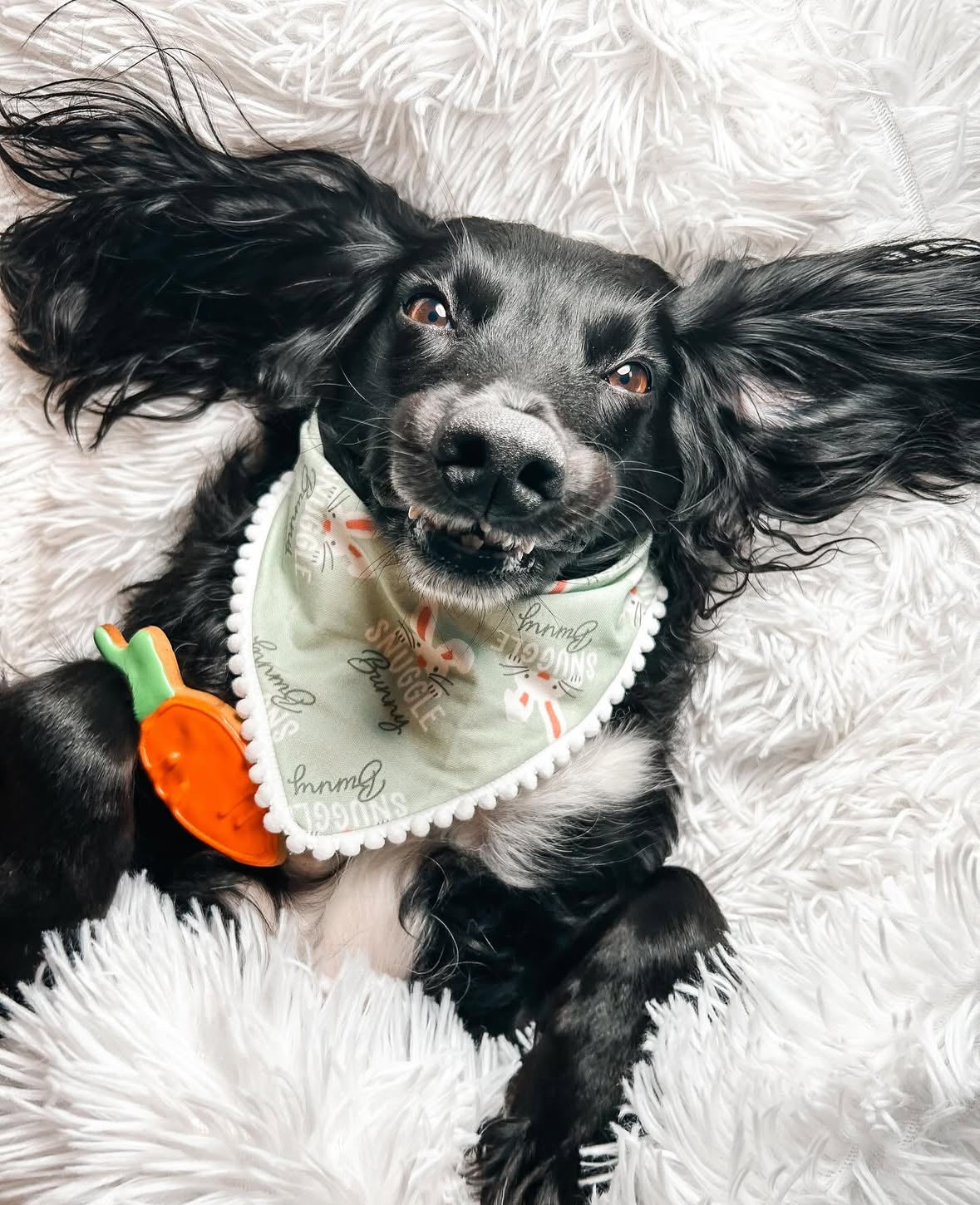 Cotton Pet Scrunchie Bandana - Snuggle Bunny