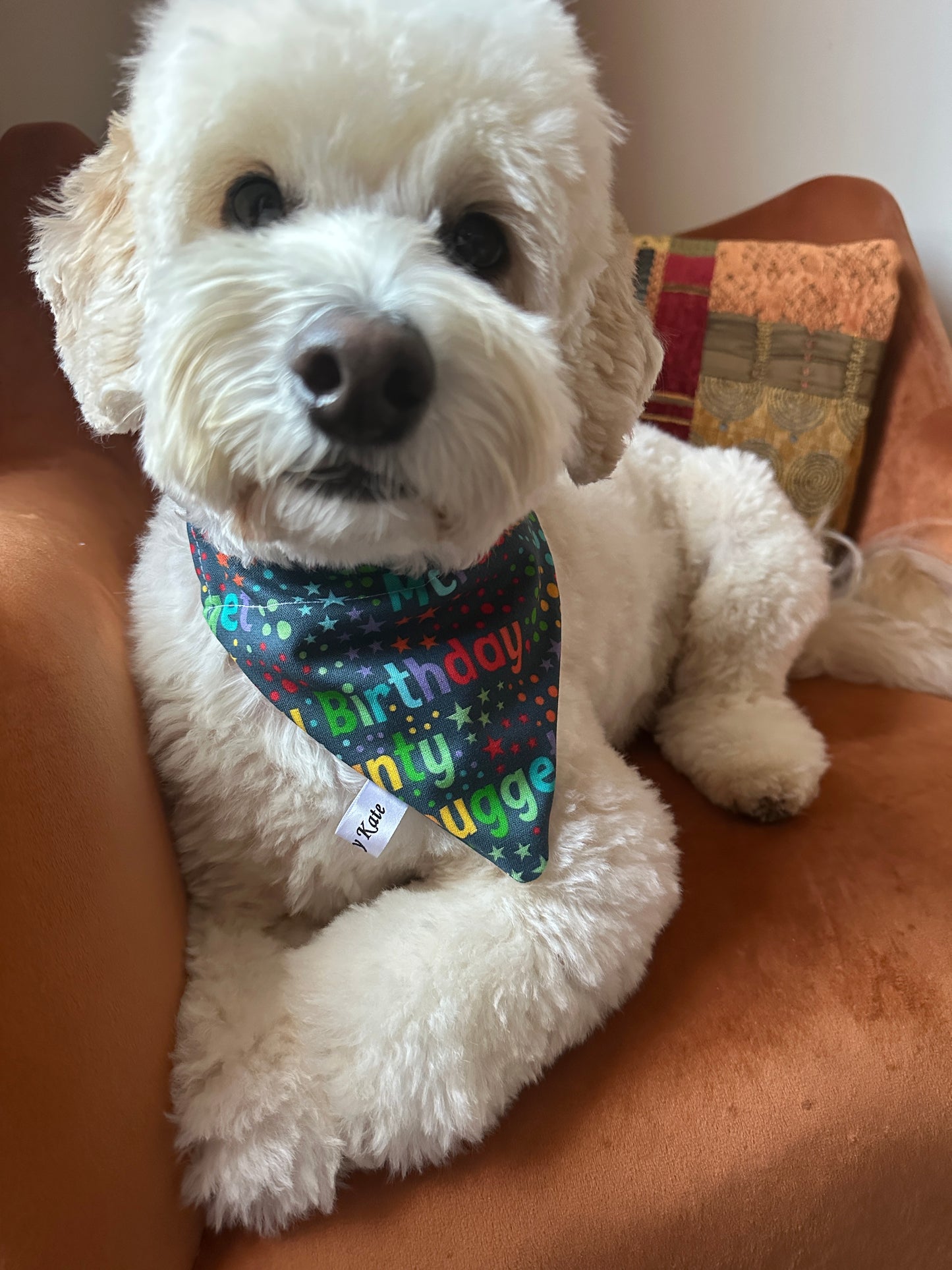 A fluffy white dog lounges on an orange couch, wearing a "Happy Birthday" Cotton Pet Bandana with collar attachment by Crafts by Kate. The colorful accessory features words like "Hugger" and "Best." Its front paws are crossed, and it gazes at the camera with dark eyes.