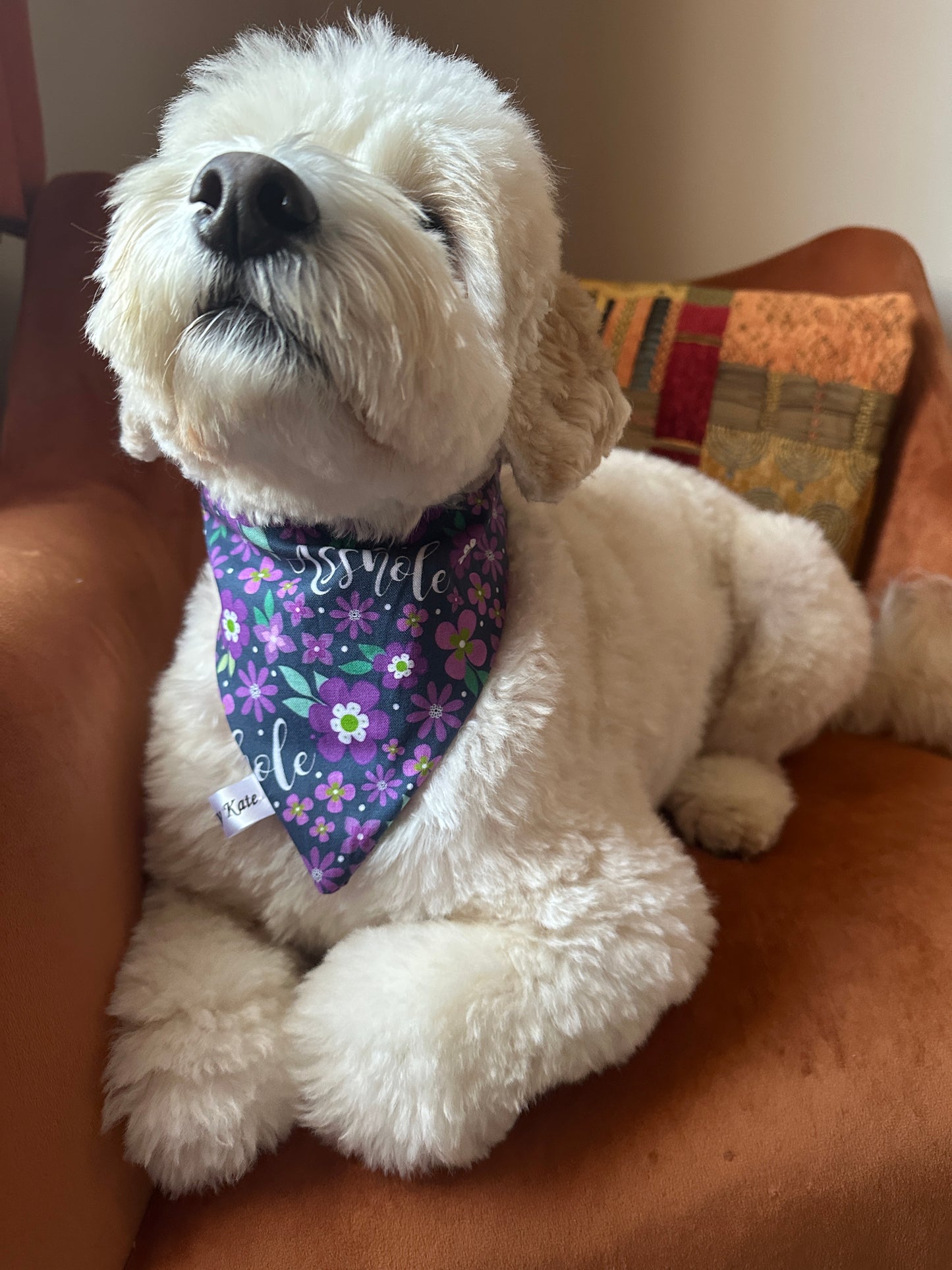 A fluffy white dog sits contentedly on an orange chair, adorned with a handcrafted Cotton Pet Scrunchie Bandana - Asshole by Crafts by Kate. Eyes closed, it soaks in the sunlight, with a colorful cushion peeking out from behind.