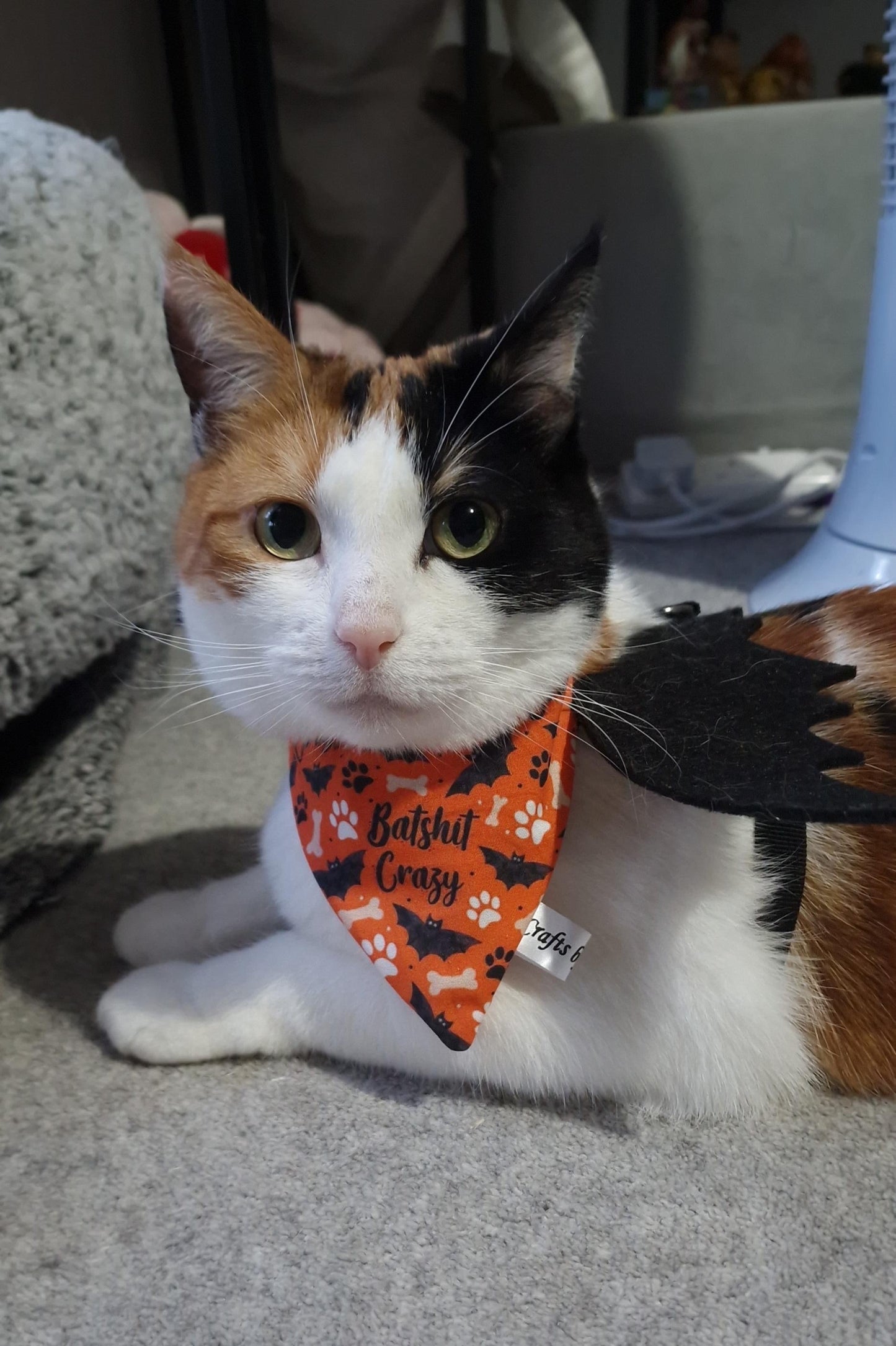 A calico cat lounges on a carpet wearing the Crafts by Kate Cotton Pet Scrunchie Bandana – Batshit Crazy, featuring black bat and paw prints, along with black bat wings attached to its back.