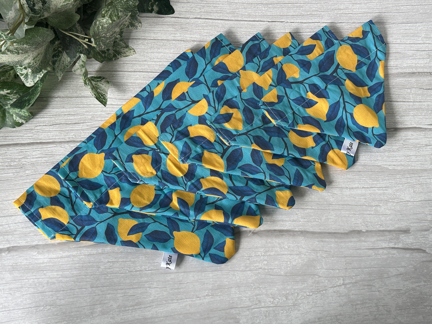 Cotton Pet Bandana with collar attachment - I still live with my parents