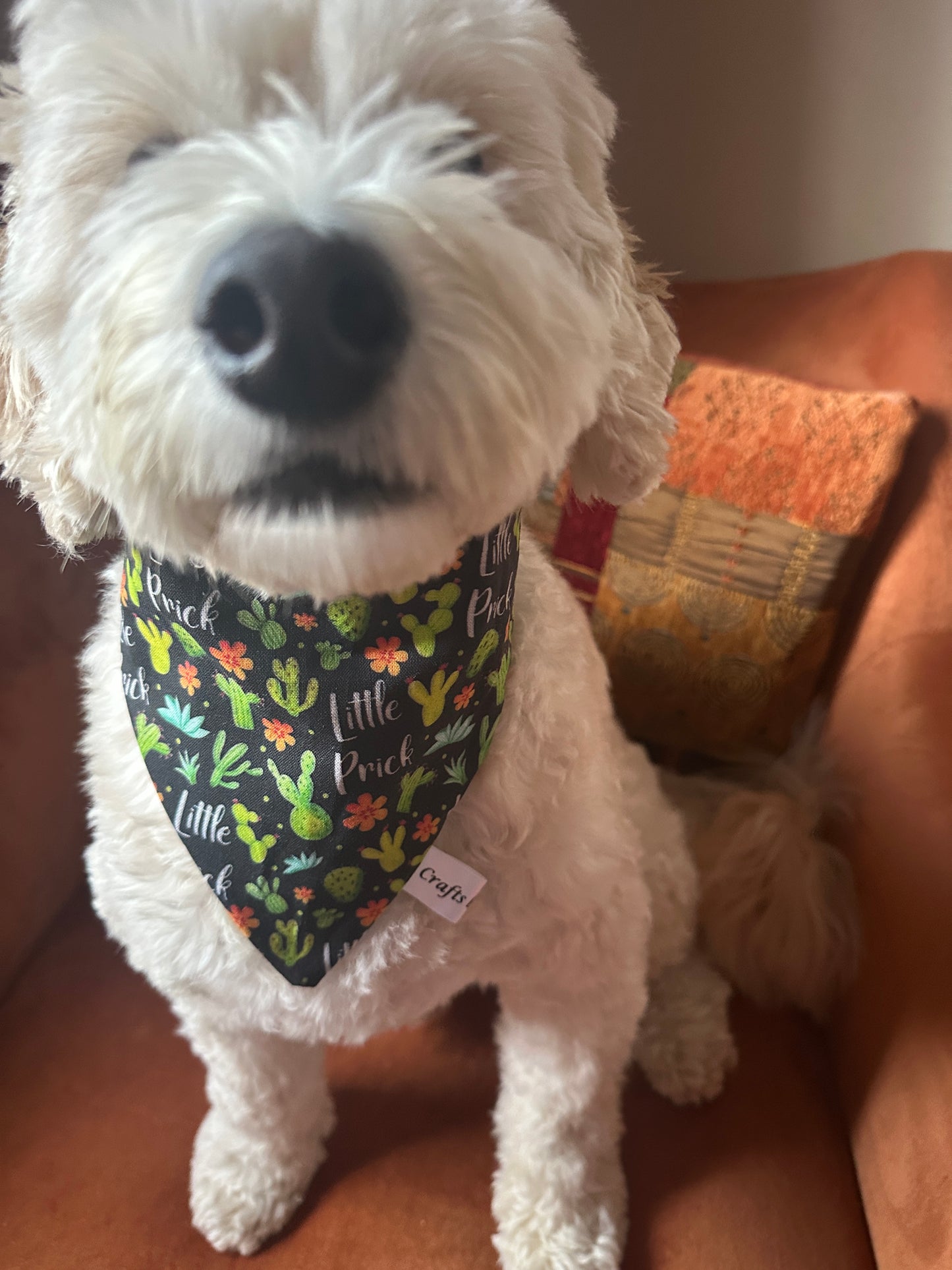 A fluffy white dog sits on an orange chair, wearing the Crafts by Kate Cotton Pet Scrunchie Bandana - Little Prick, decorated with cactus illustrations and text. A decorative pillow rests behind this cute display of pet style.