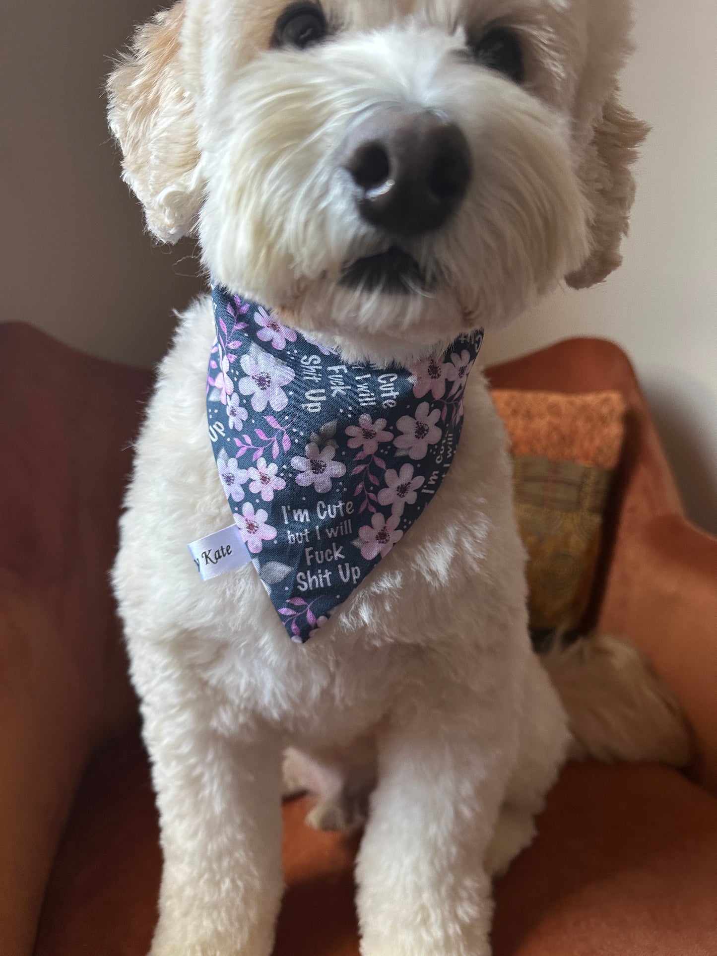 A fluffy white dog perches on an orange chair wearing a Crafts by Kate Cotton Pet Scrunchie Bandana. This navy blue accessory, decorated with pink flowers, boldly states, "I'm Cute but I will Fuck Shit Up," as the dog's nose and face blur charmingly into the foreground.