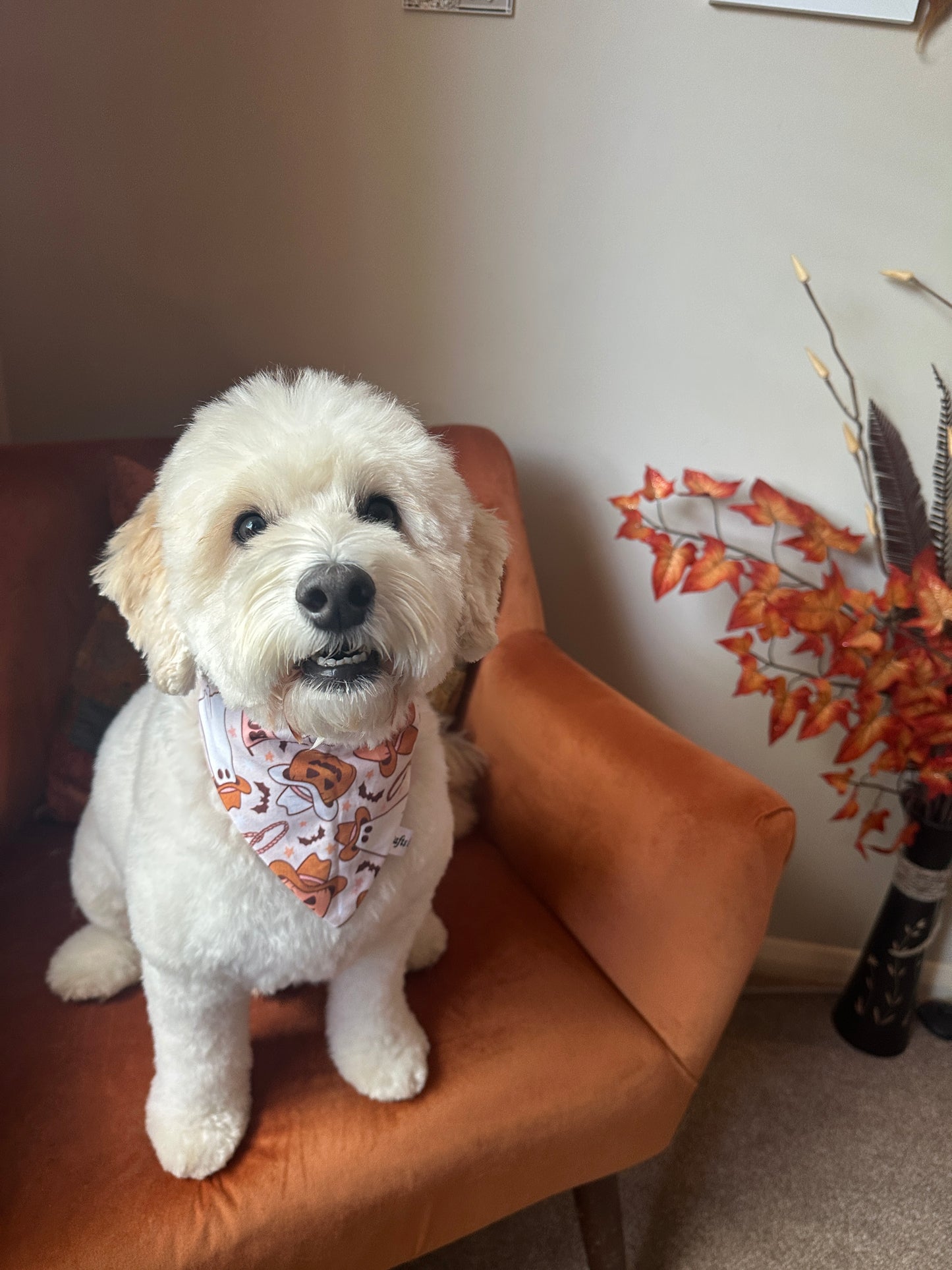 Cotton Pet Scrunchie Bandana - Halloween Cowboy