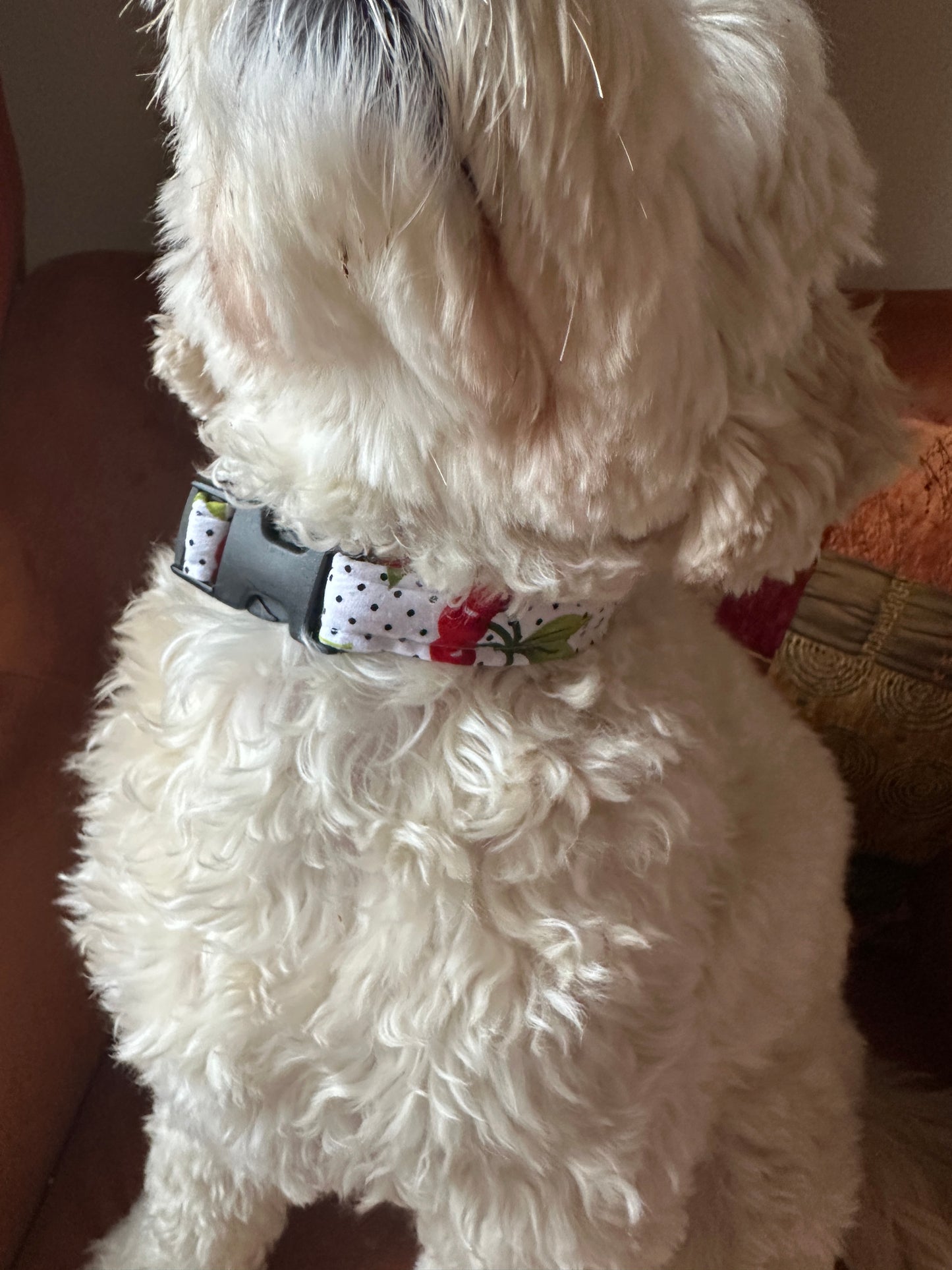 Cotton Pet Adjustable Collar - Cherry Sweet
