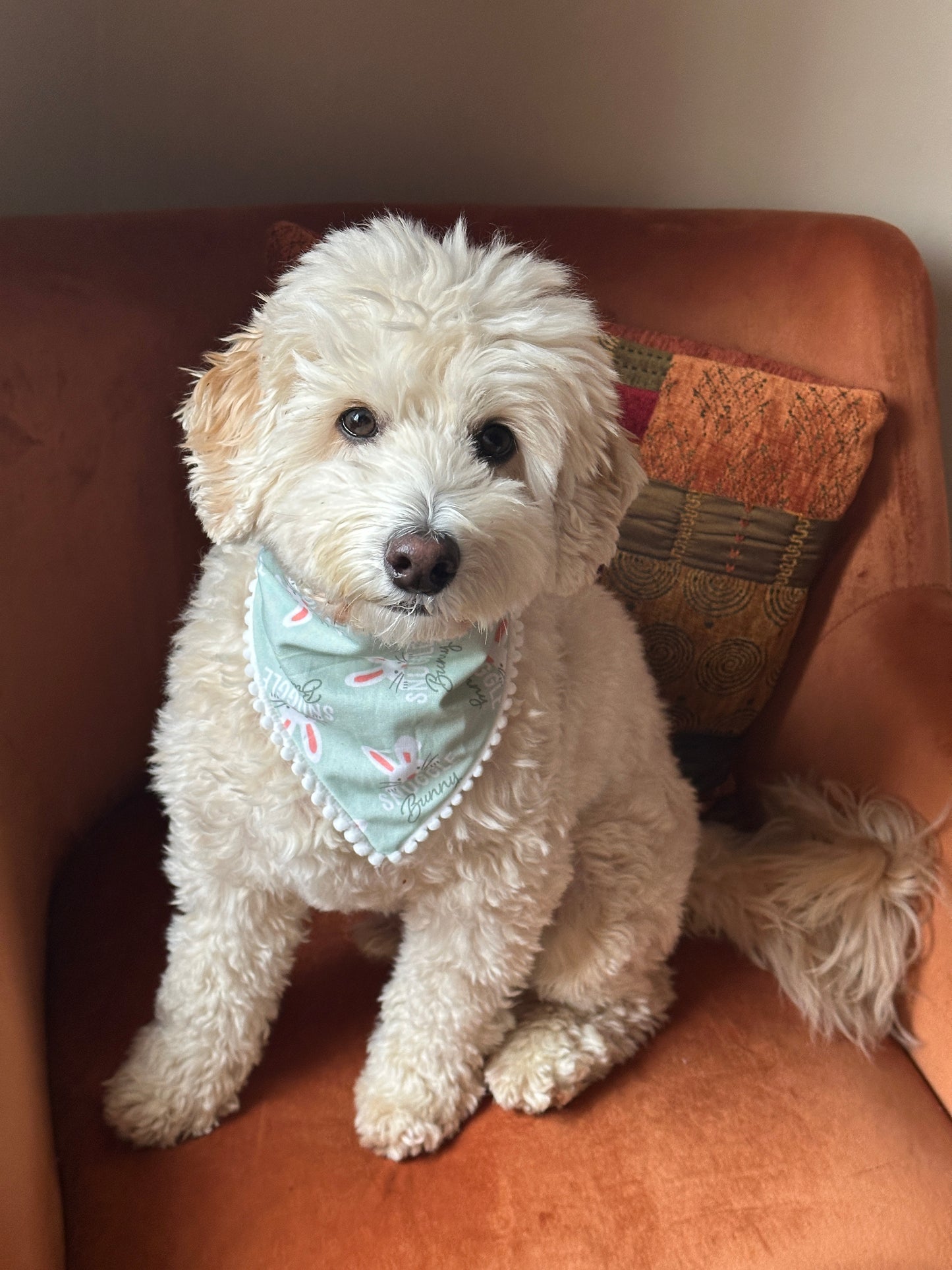 Cotton Pet Scrunchie Bandana - Snuggle Bunny
