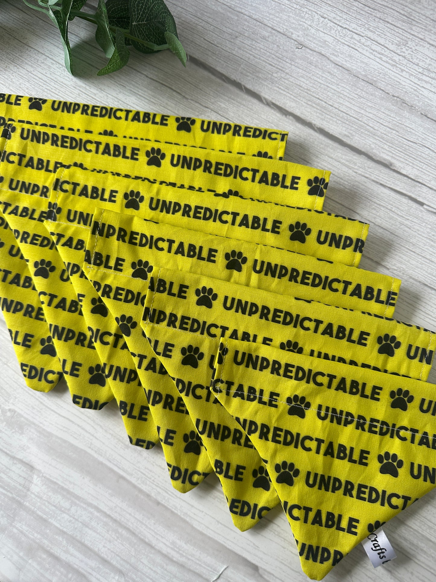 A set of yellow, triangular "Unpredictable" Cotton Pet Bandanas with collar attachments by Crafts by Kate, each featuring black paw prints, are fanned out on a light wood surface with green leaves in the top left corner.