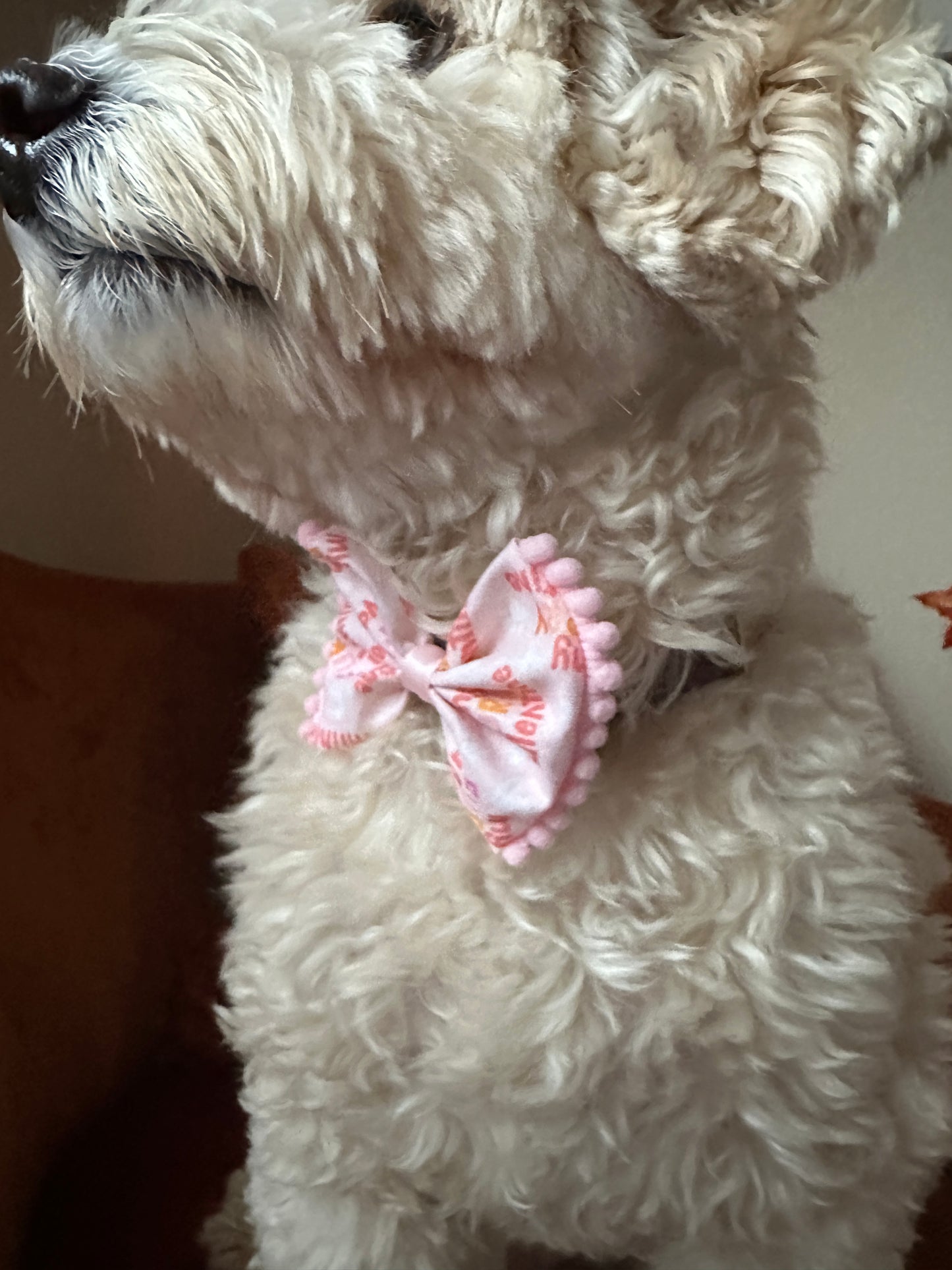 A white fluffy dog wears a pink Cotton Pet Bow by Crafts by Kate, featuring decorative edges and small orange letters. The elastic collar attachment fits snugly, capturing a side view of the charming pooch indoors.