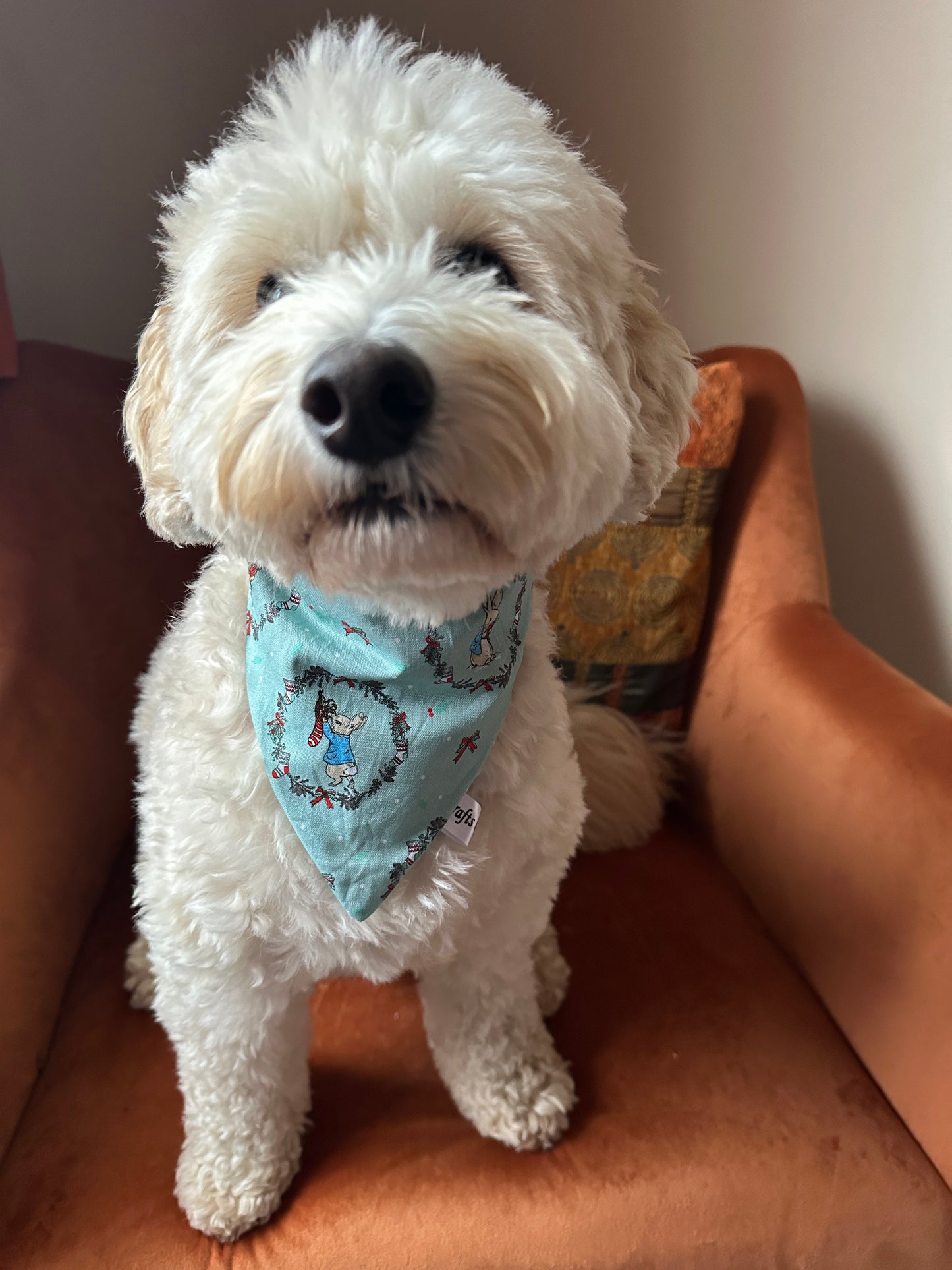 Cotton Pet Scrunchie Bandana - Peter Rabbit's Christmas Wreath