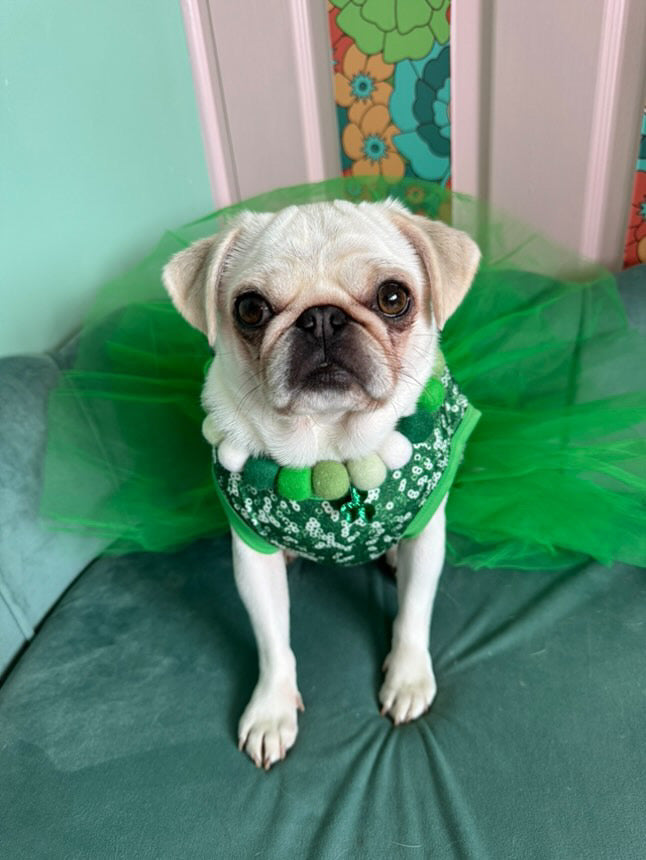 PomPom Pet Collar - Luck of the Irish