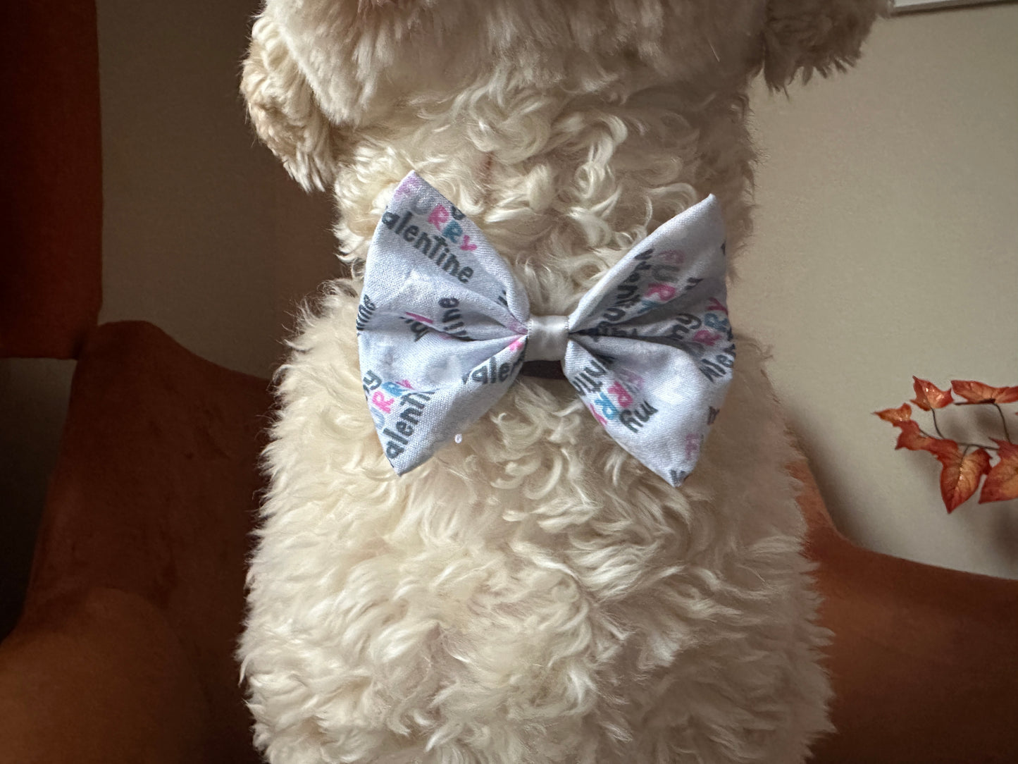A curly-furred dog is shown from the back wearing a "My Fluffy Valentine" cotton pet bow featuring pink and black text. It's made by Crafts by Kate. The background shows a brown couch and a plant with orange leaves.