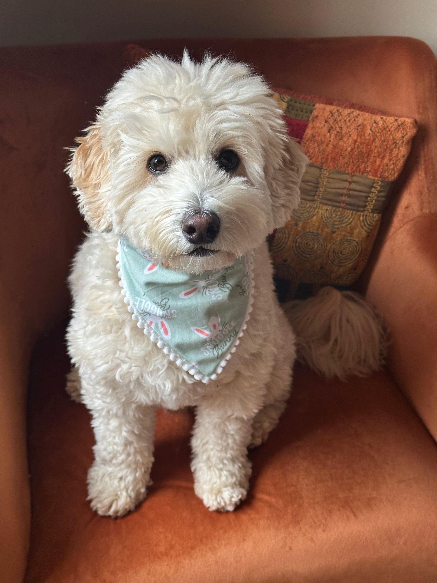 Cotton Pet Scrunchie Bandana - Snuggle Bunny