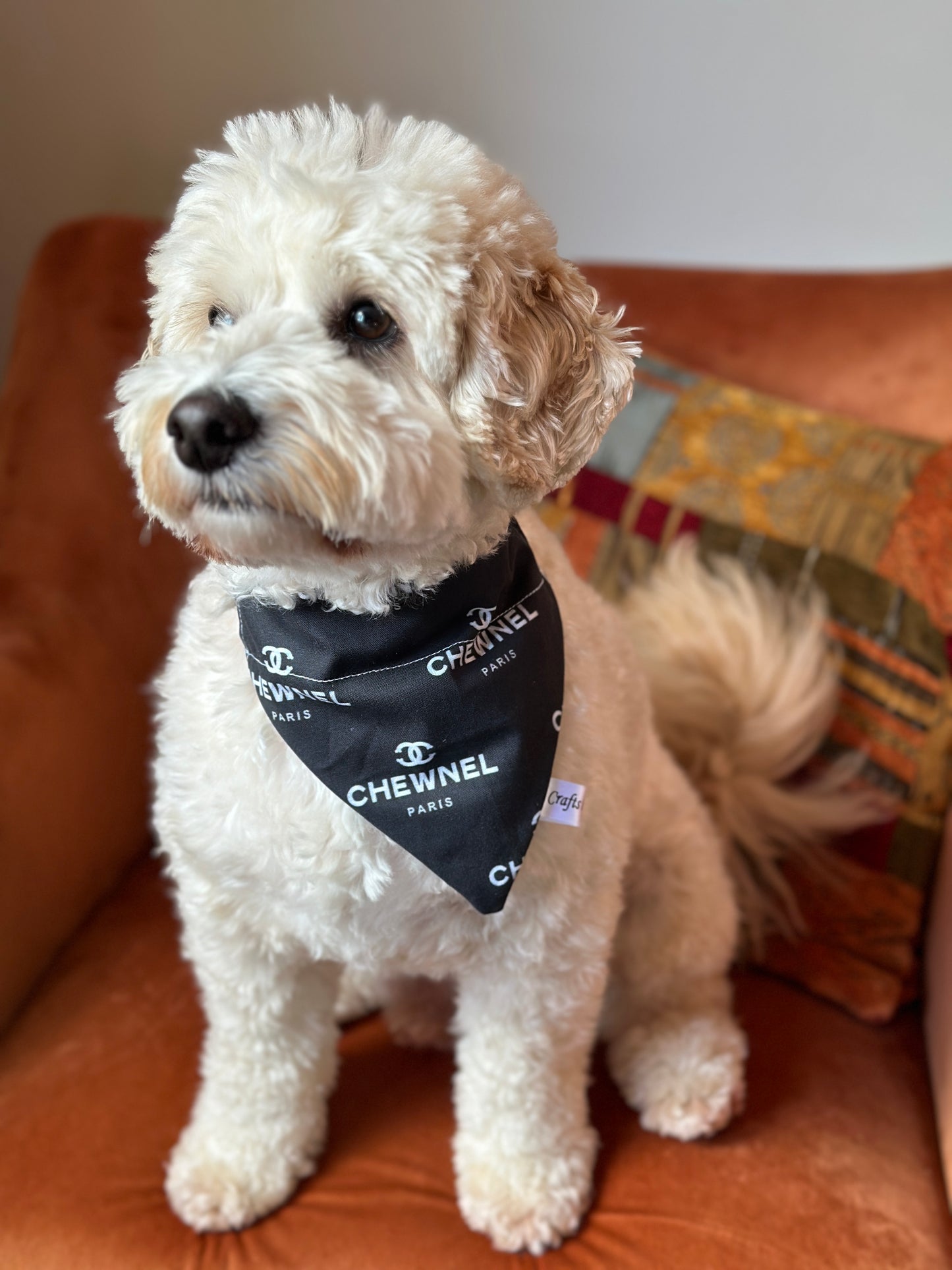 Cotton Pet Bandana with collar attachment - ‘Chew’nel
