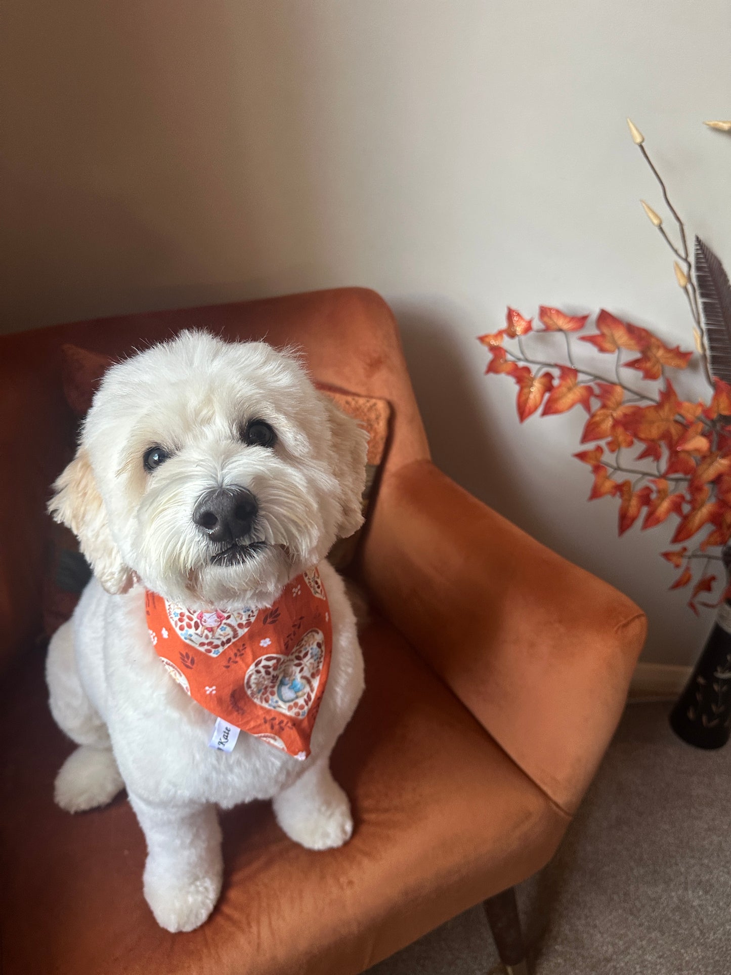 Cotton Pet Scrunchie Bandana - Fall with Peter & Friends