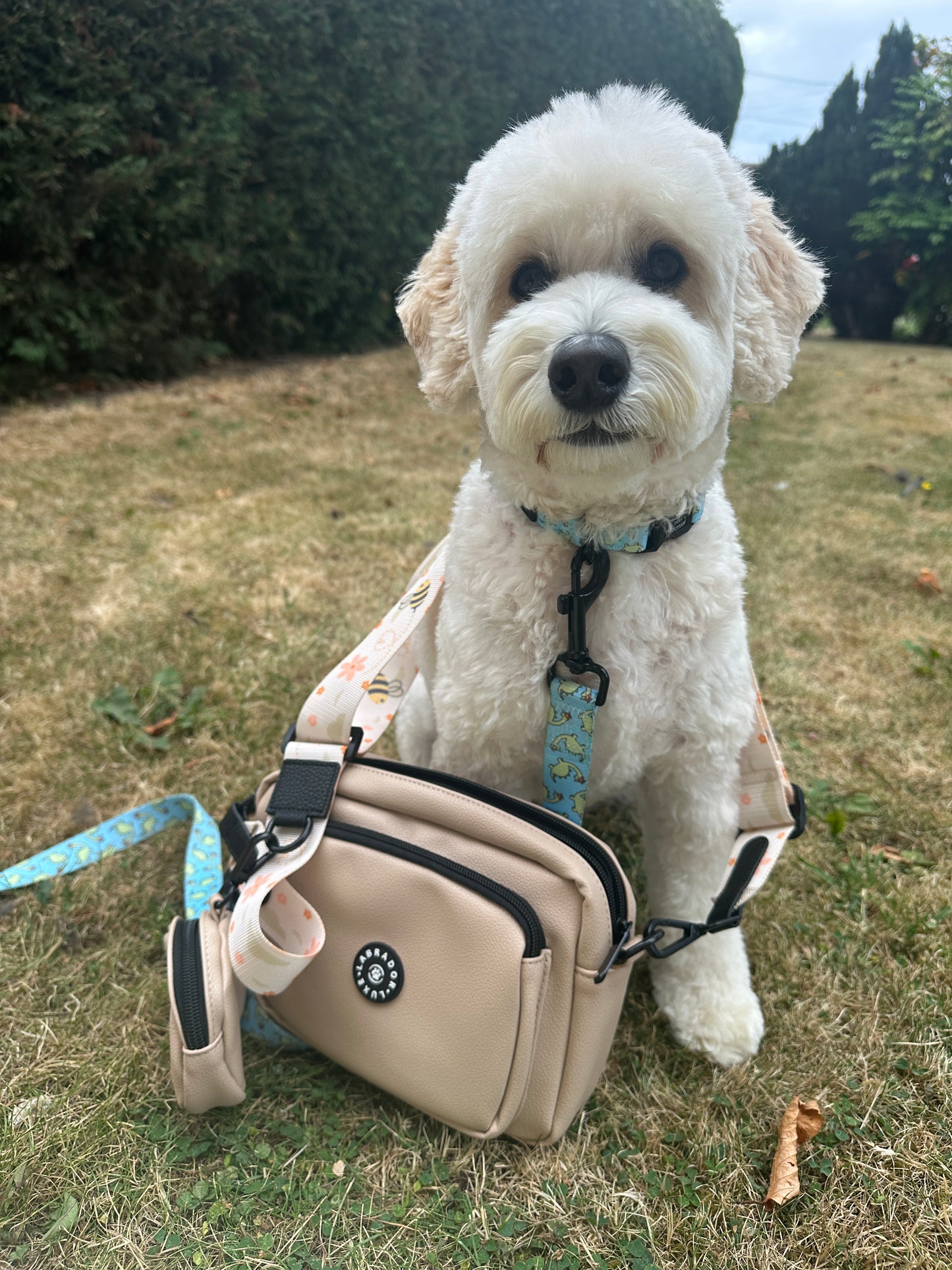 A fluffy white dog with a blue collar sits on grass, next to the Crafts by Kate Bumble Dog Walking Bag and a blue leash. The beige crossbody bag adds charm amid trees and bushes in the background.