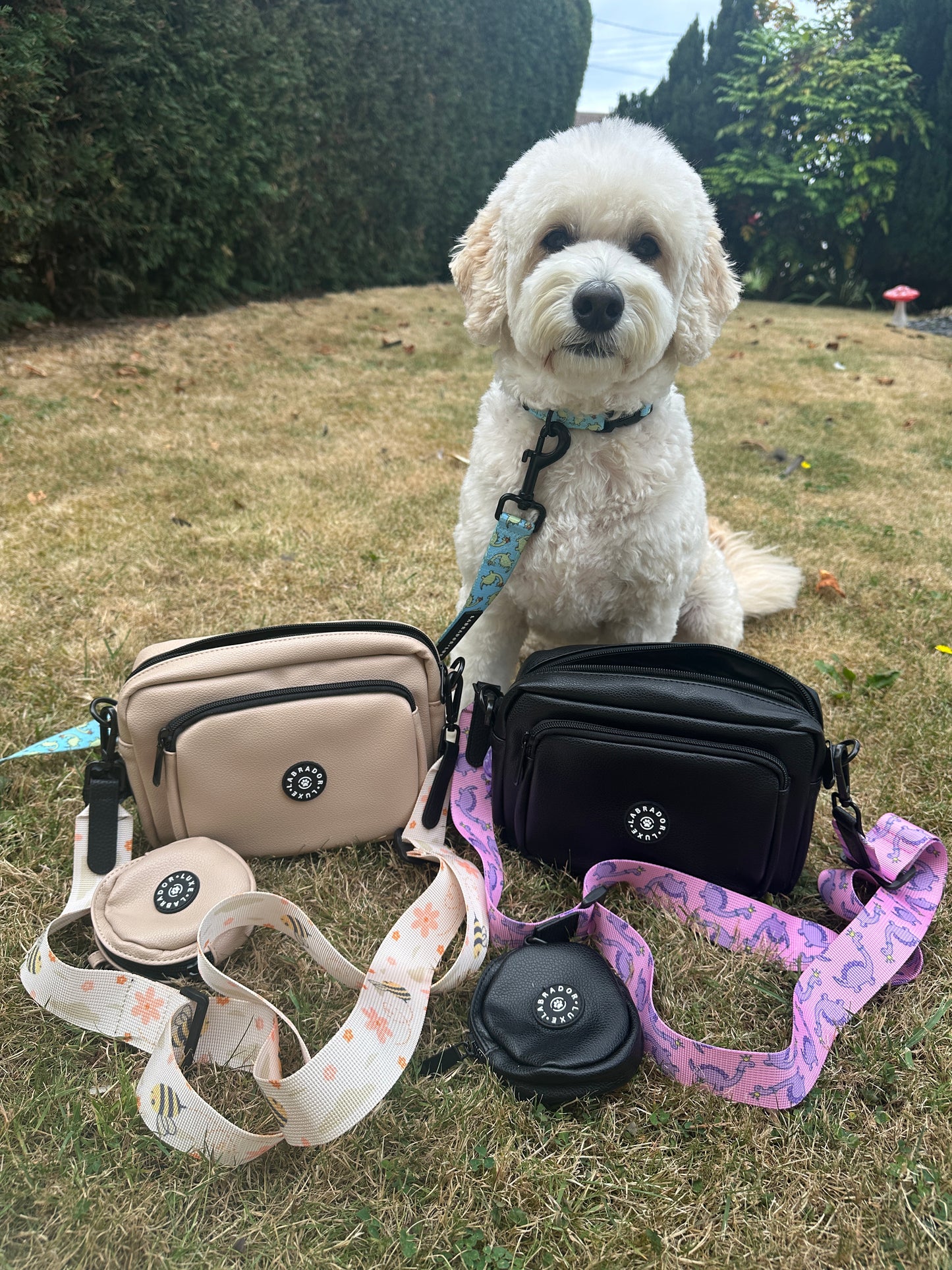 A fluffy white dog sits on grass, leashed with two colorful straps by stylish Crafts by Kate Bumble Dog Walking Bags—beige and black crossbody bags featuring matching straps and a round pouch—against a lush outdoor backdrop.