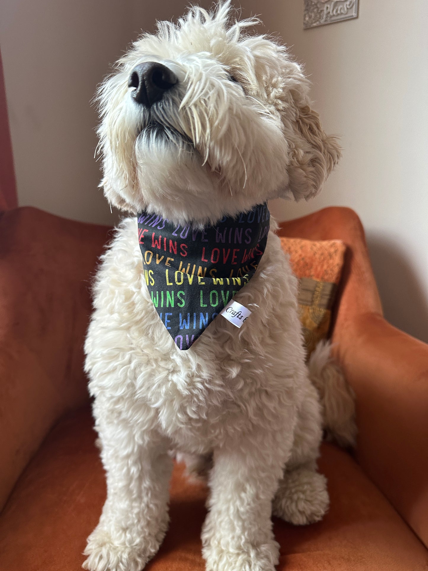 A fluffy white dog sits on an orange chair, wearing the Crafts by Kate Cotton Pet Scrunchie Bandana with a rainbow polka dot foil print, celebrating the LGBTIQA+ community. The dog gazes upward with its nose slightly raised.