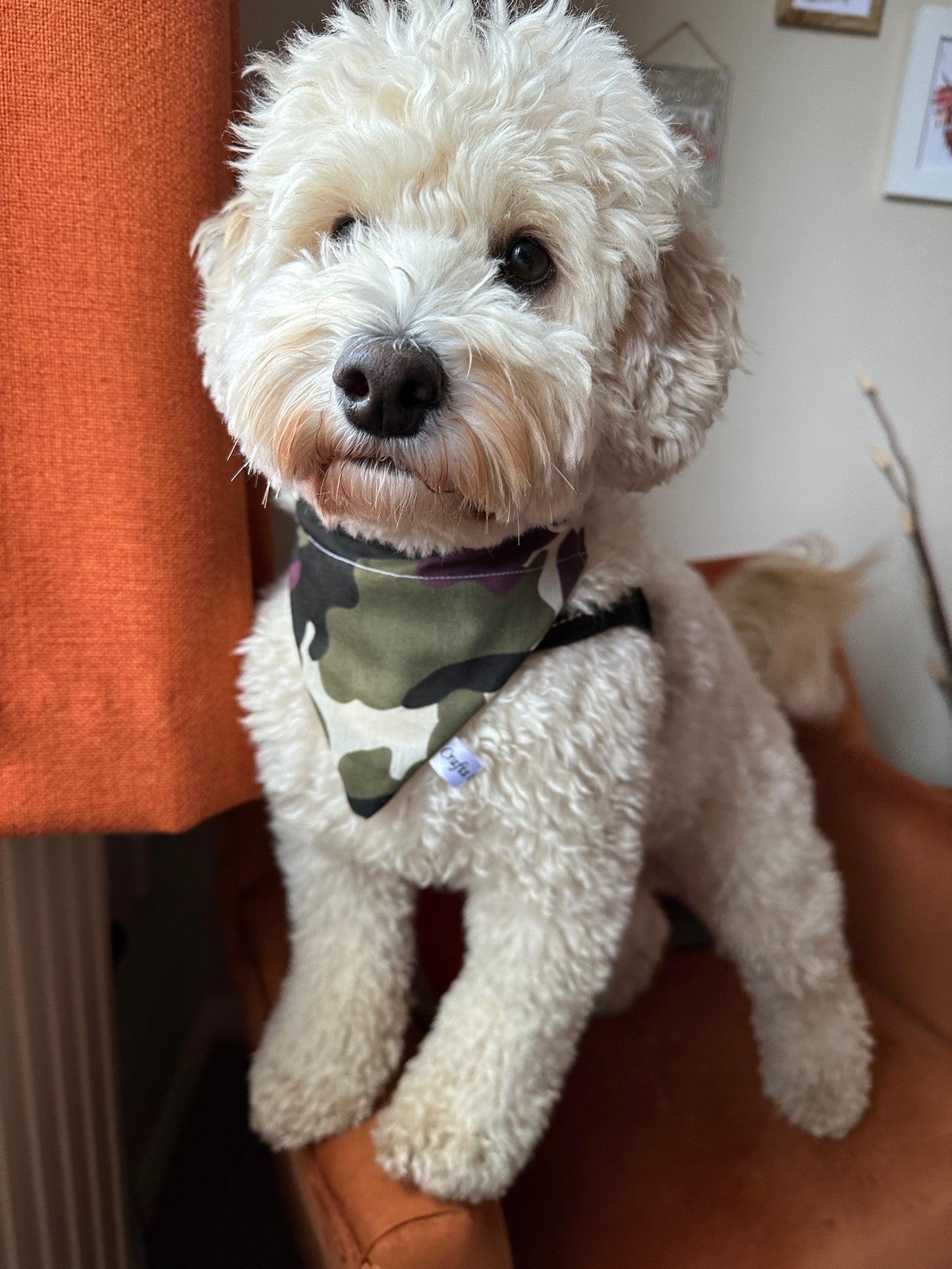 Cotton Pet Bandana with collar attachment - Camouflage Print