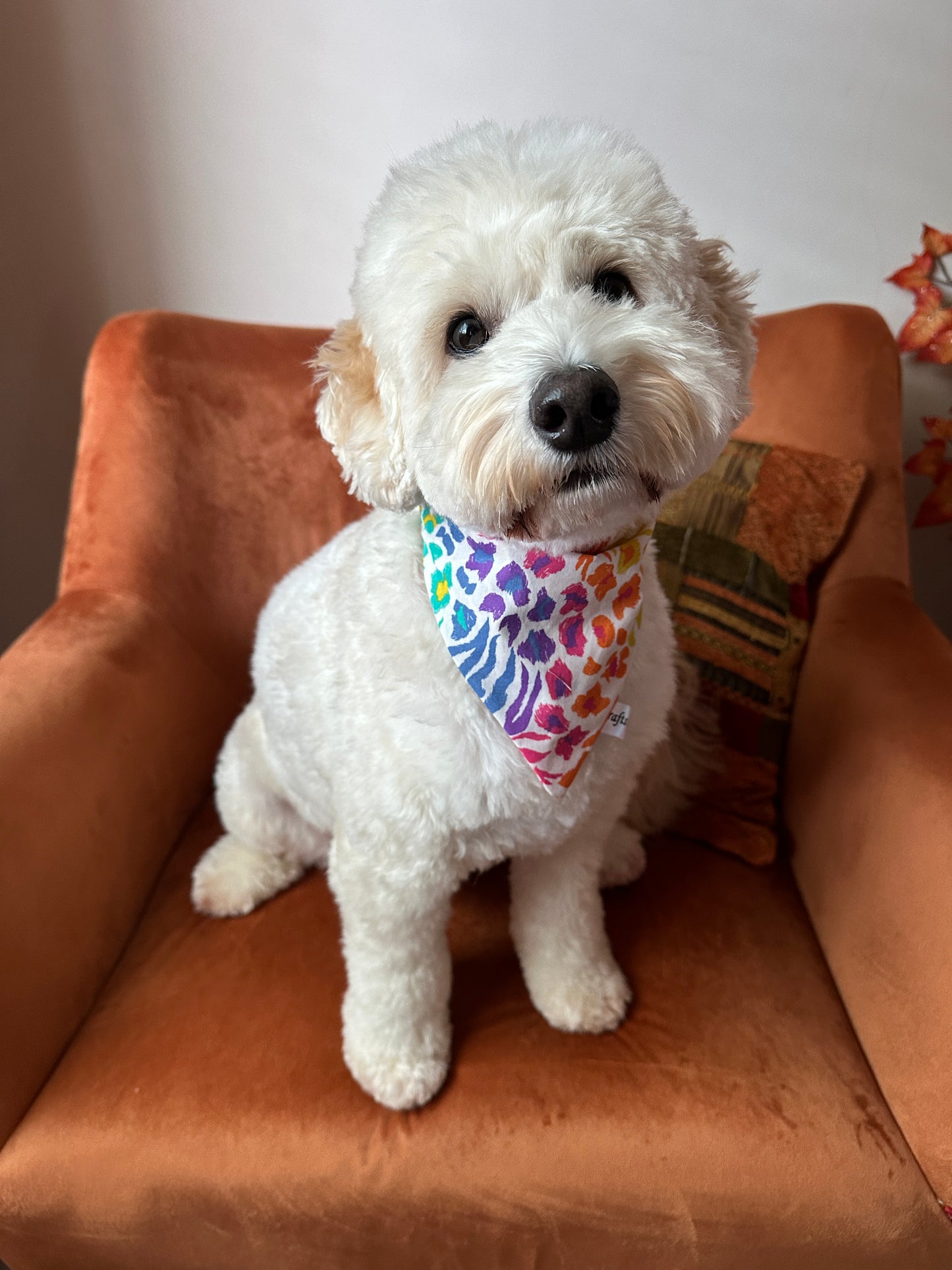 Cotton Pet Scrunchie Bandana - Rainbow White Tiger Print
