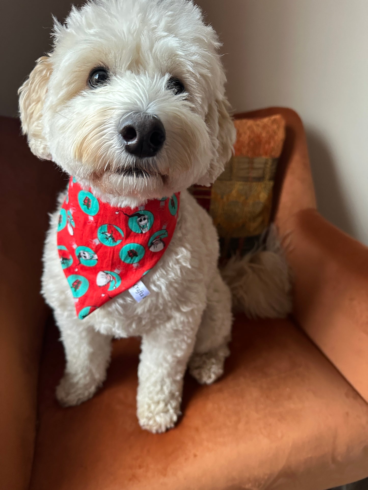 Cotton Pet Scrunchie Bandana - Jack Skeleton & Santa Claus