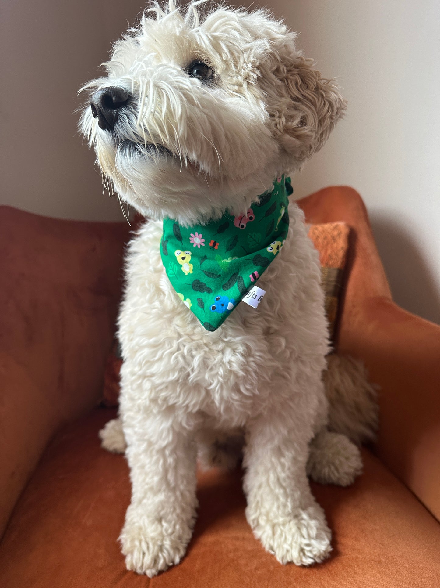 Cotton Pet Scrunchie Bandana - Froggtastic