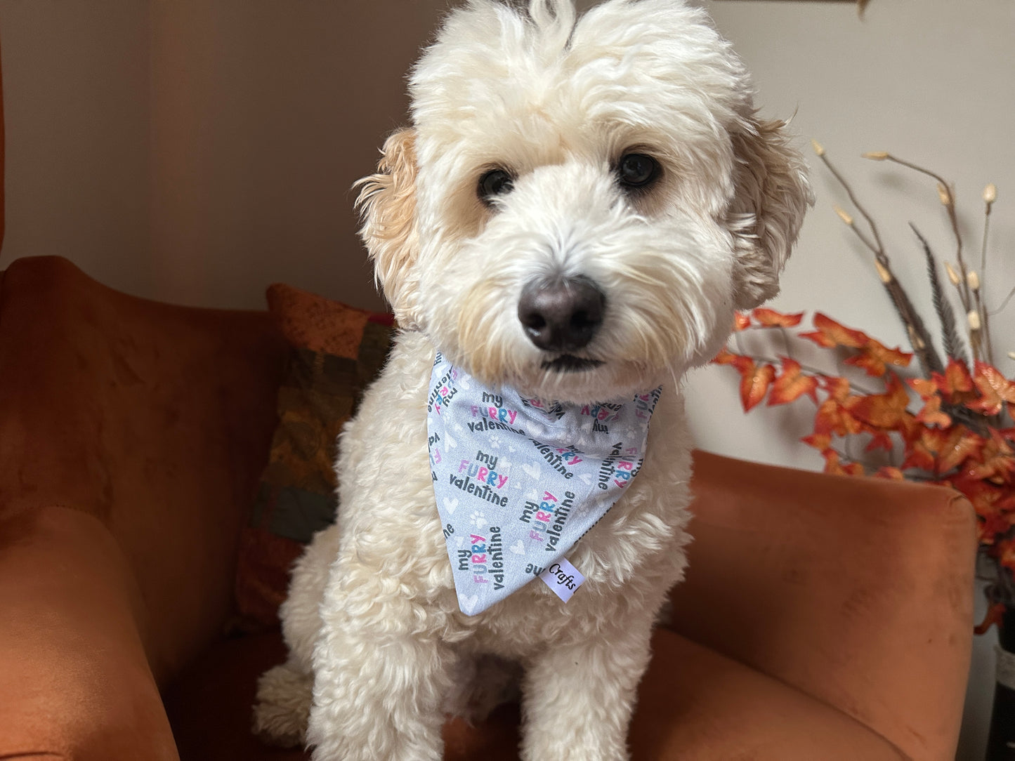 A fluffy white dog wears a Crafts by Kate Cotton Pet Scrunchie Bandana - My Fluffy Valentine while sitting on an orange chair. The backdrop includes a wall and a plant with autumn leaves, creating a cozy handcrafted cotton vibe indoors.