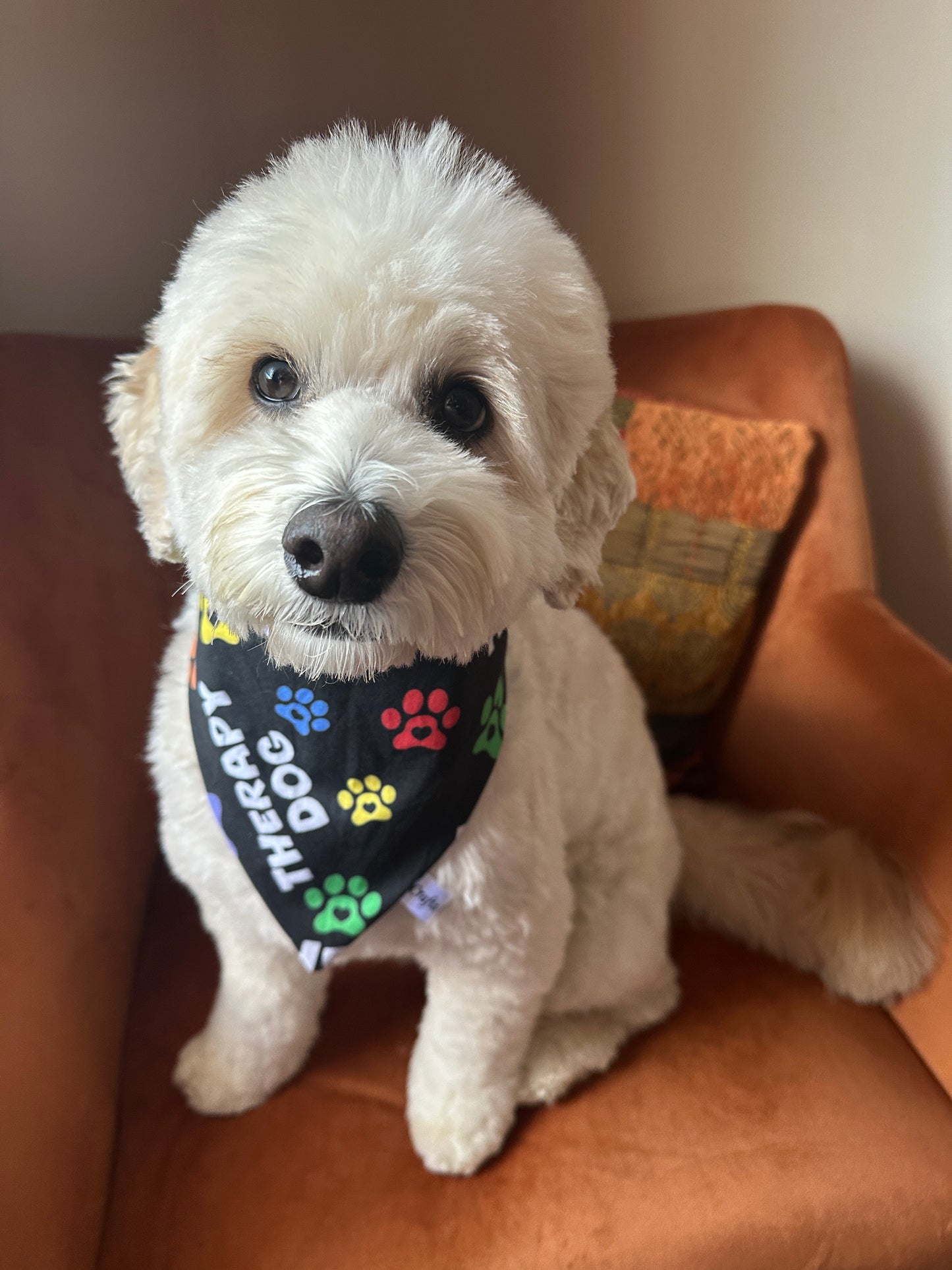 Cotton Pet Scrunchie Bandana - Therapy Dog