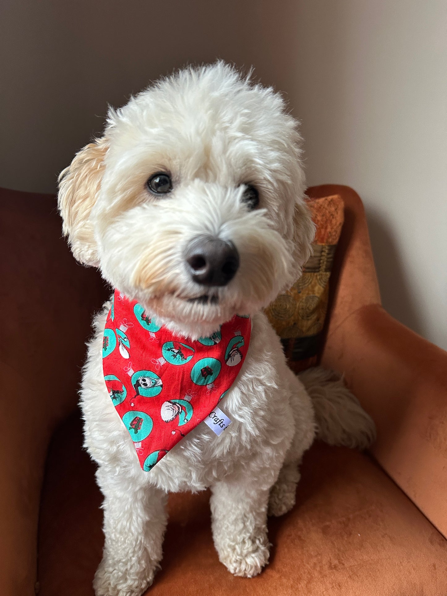 Cotton Pet Scrunchie Bandana - Jack Skeleton & Santa Claus