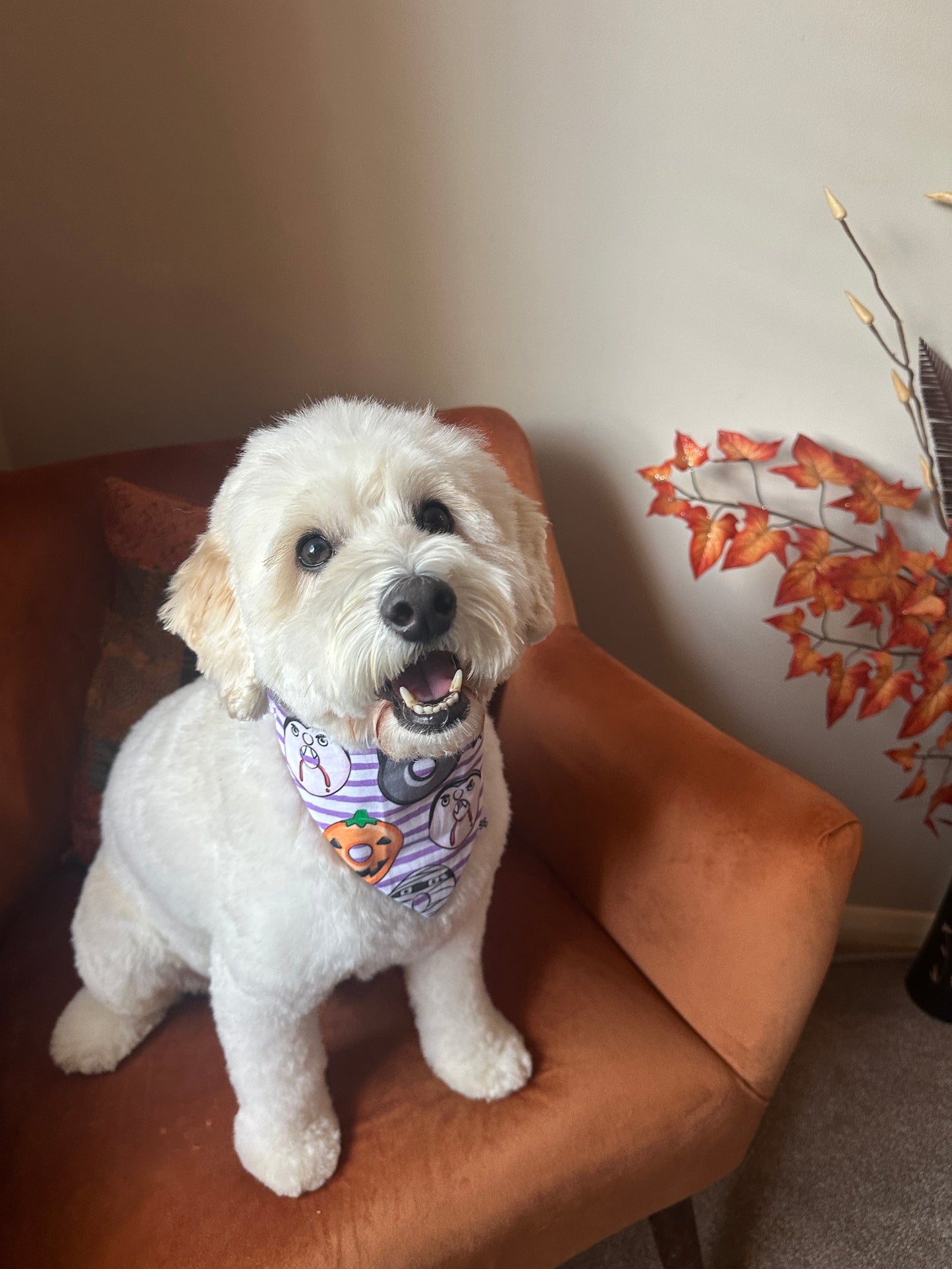 Cotton Pet Scrunchie Bandana - Halloween Donuts