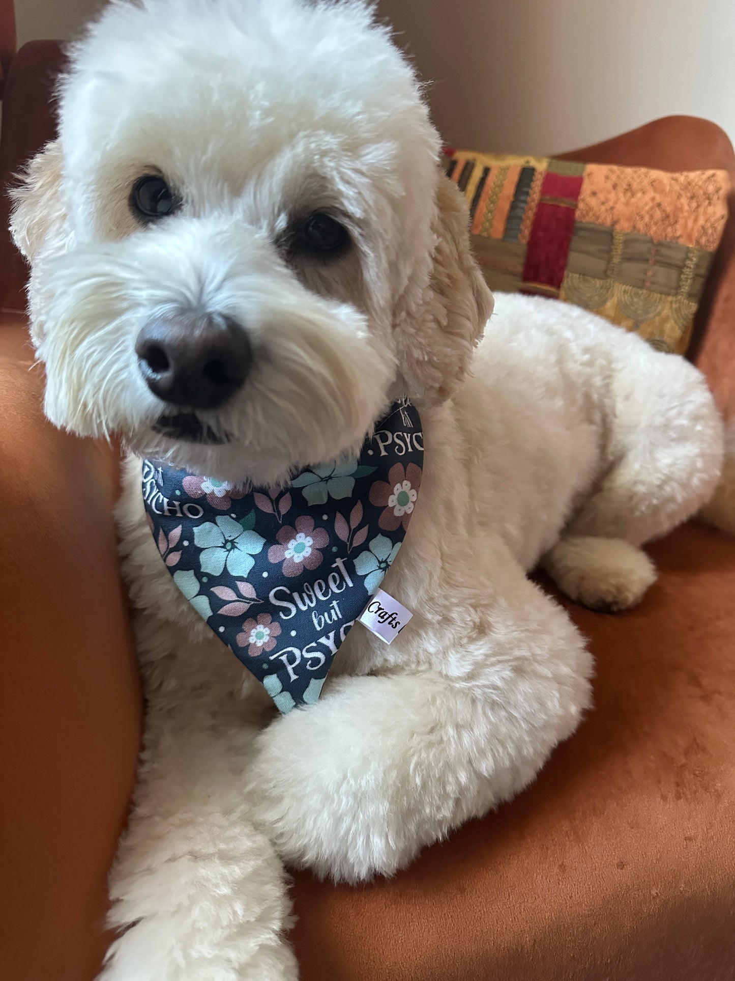A fluffy white dog lounges on a brown couch, sporting the "Sweet but Psycho" Cotton Pet Bandana from Crafts by Kate. The bandana features floral patterns, adding a quirky touch to the relaxed pup's style as it rests with an outstretched paw.