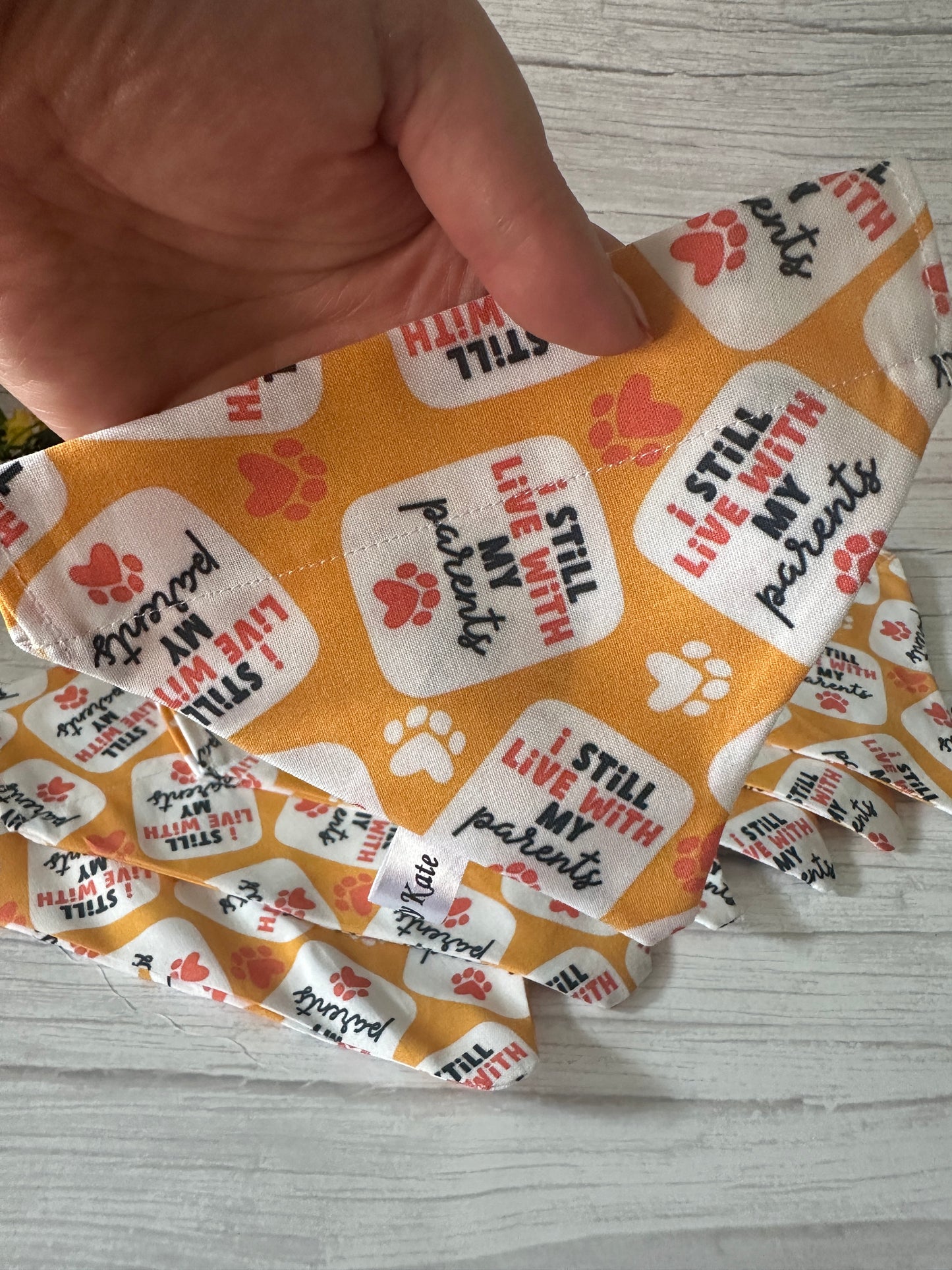 Cotton Pet Bandana with collar attachment - I still live with my parents