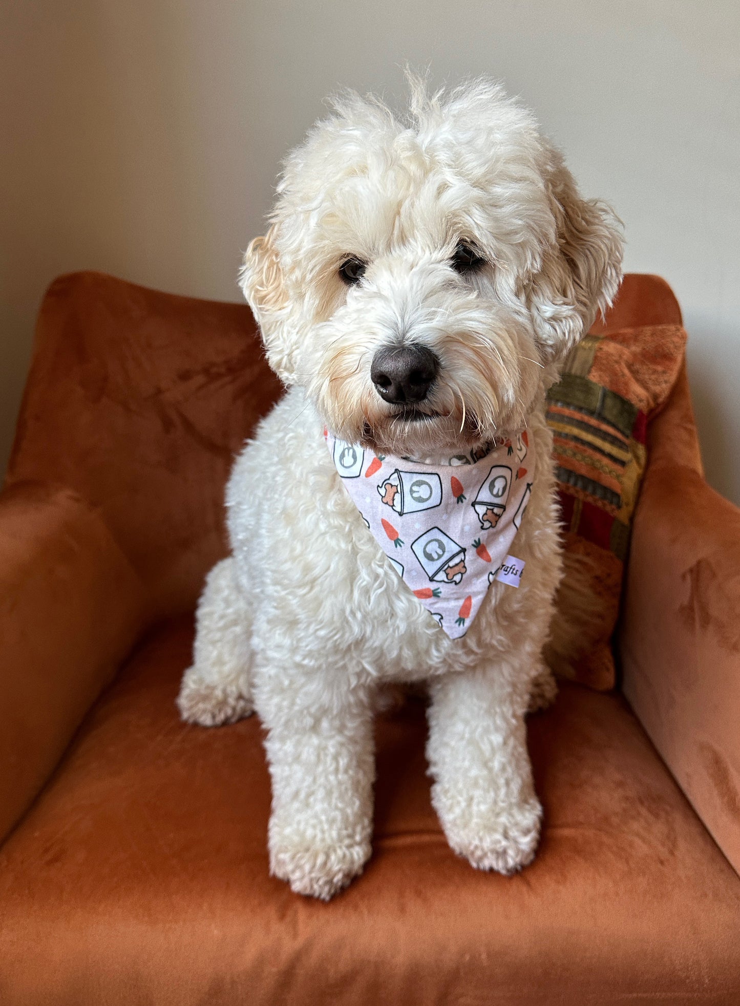 A fluffy white dog wears the "Easter Pupcup" Cotton Pet Bandana by Crafts by Kate while sitting on an orange sofa. A colorful pillow enhances the background. The gentle pup gazes at the camera, perfectly showcasing its stylish pet accessory.