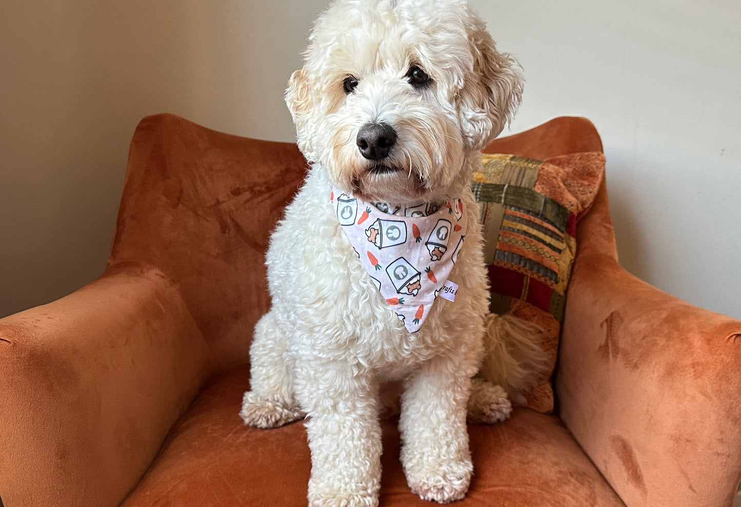 A fluffy white dog relaxes on a plush orange chair, wearing a Crafts by Kate Cotton Pet Bandana with collar attachment - Easter Pupcup. Beside the pup, a colorful patterned pillow adds to the vibrant display against a plain wall.