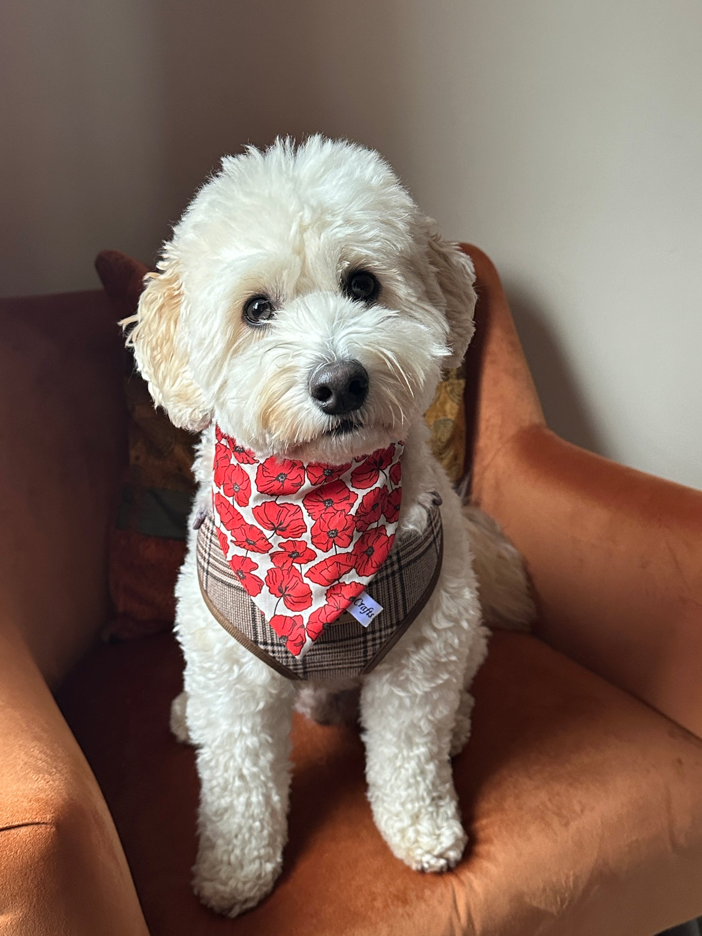 Cotton Pet Scrunchie Bandana - Poppy Fields