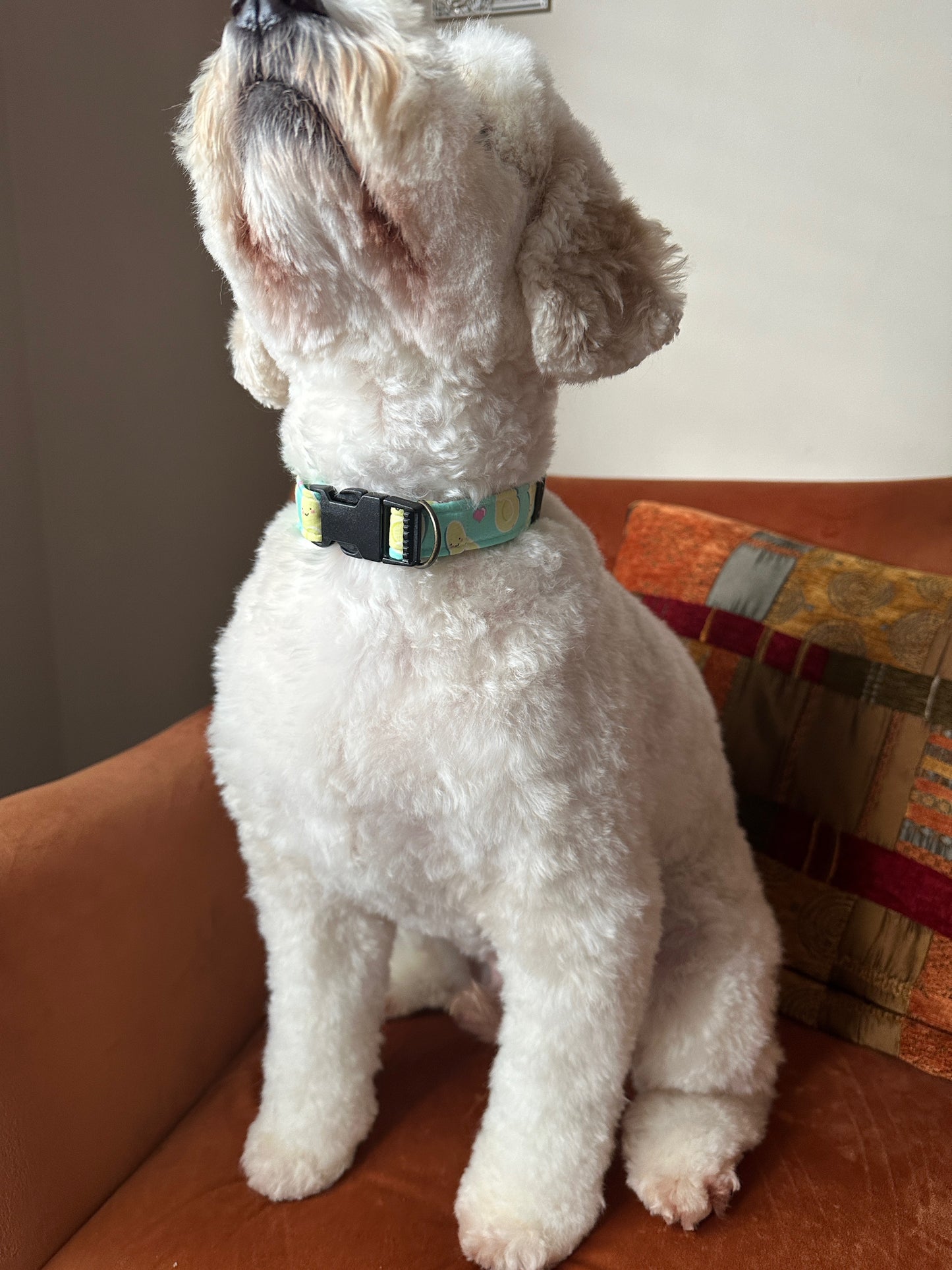 Cotton Pet Adjustable Collar - Avocado Love