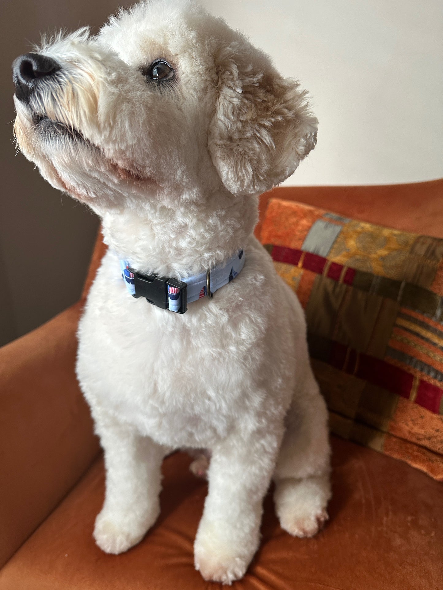 Cotton Pet Adjustable Collar - Seaside Dreams
