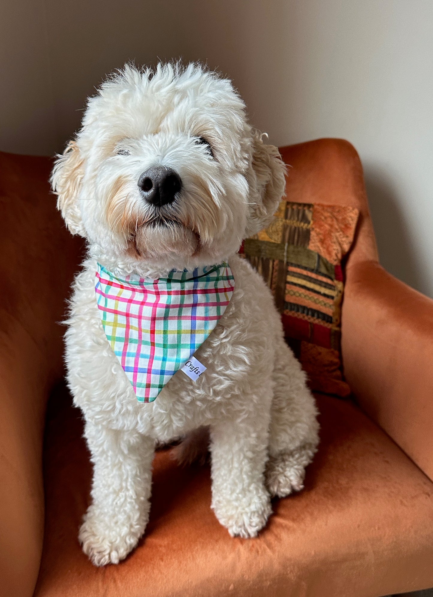 Cotton Pet Bandana with collar attachment - Rainbow Gingham