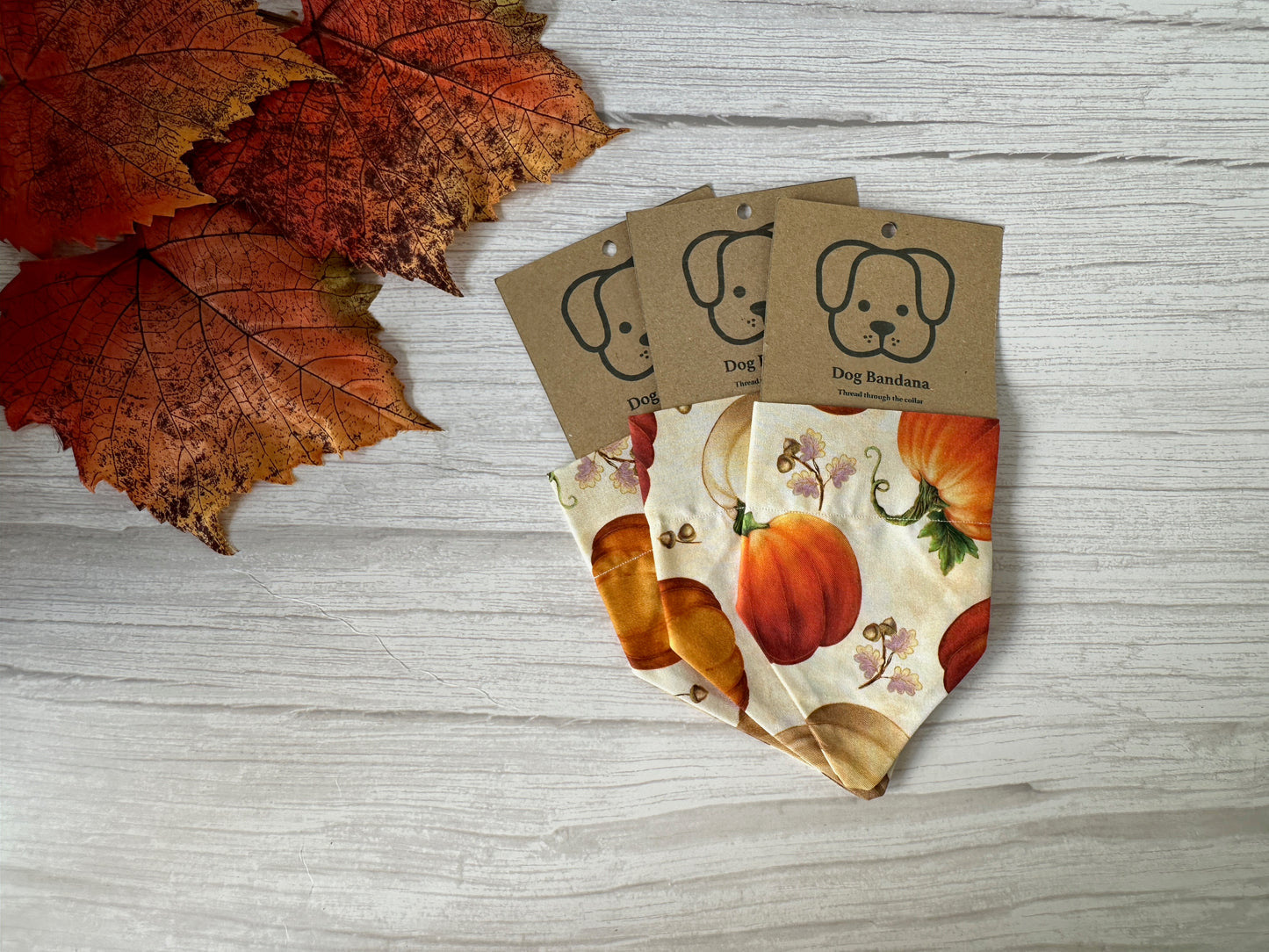 Three Crafts by Kate Cotton Pet Bandana with collar attachment – Pumpkins, each featuring autumn pumpkin and leaf designs, displayed on cardboard backing with a dog illustration on a white wooden surface beside decorative fall leaves.