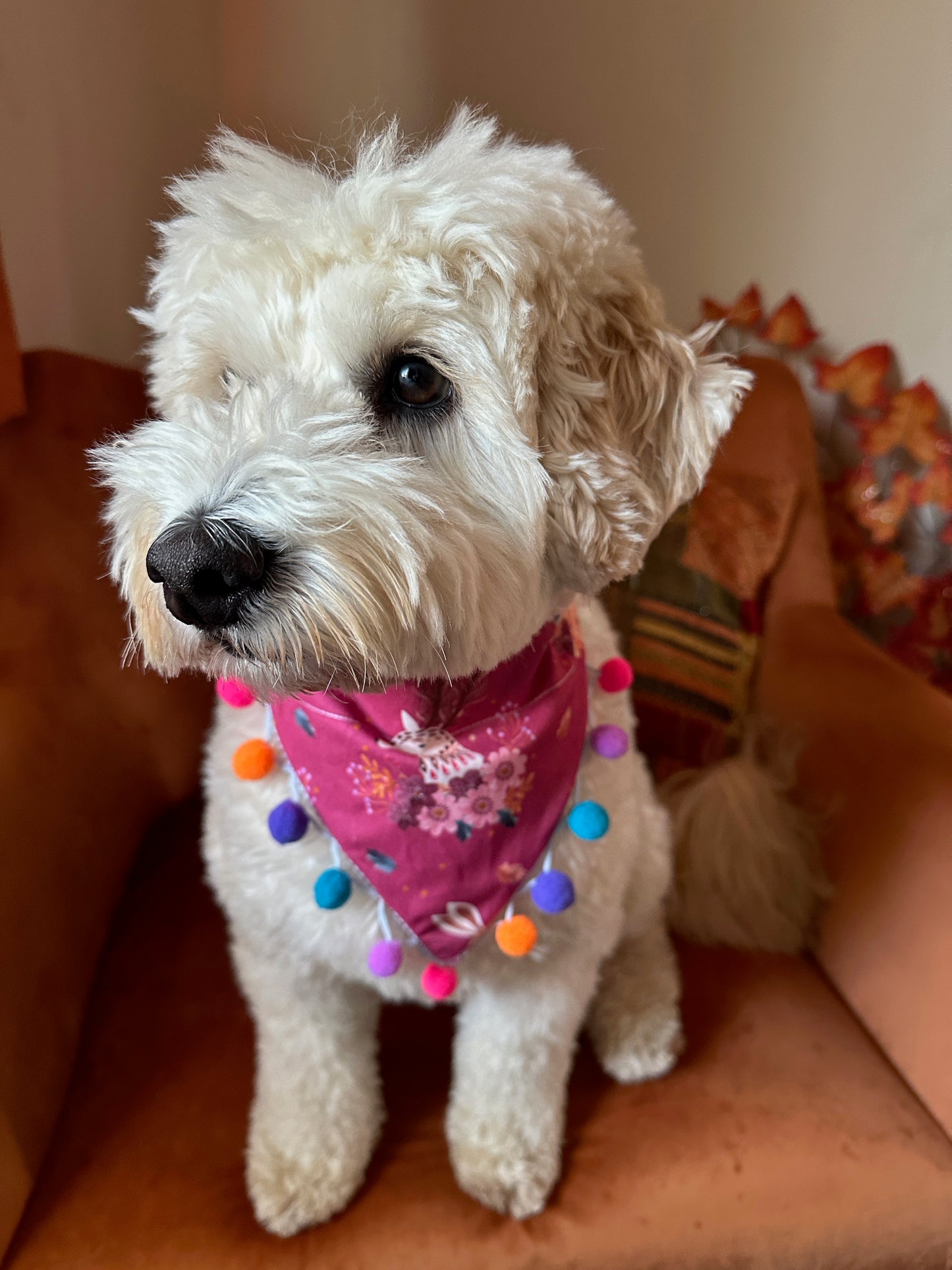 A fluffy white dog sits on a brown chair, wearing a handcrafted Woodland Animals Cotton Pet Bandana with pom poms by Crafts by Kate. A patterned cushion and soft lighting appear in the background.