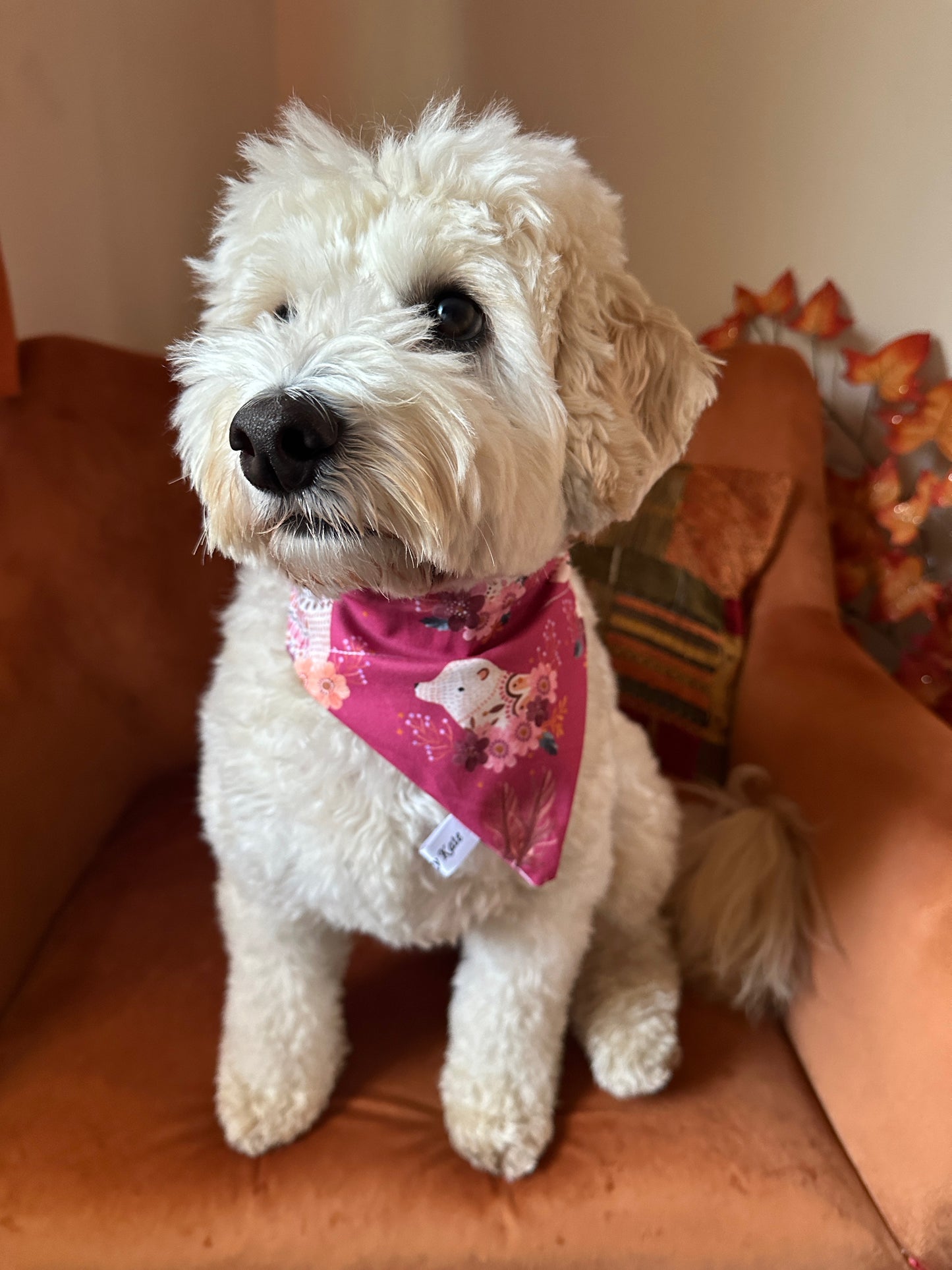 A fluffy white dog with curly fur sits calmly on an orange chair, sporting a Crafts by Kate Cotton Pet Bandana with collar attachment featuring a woodland animals design. The dog looks slightly left with a serene expression.