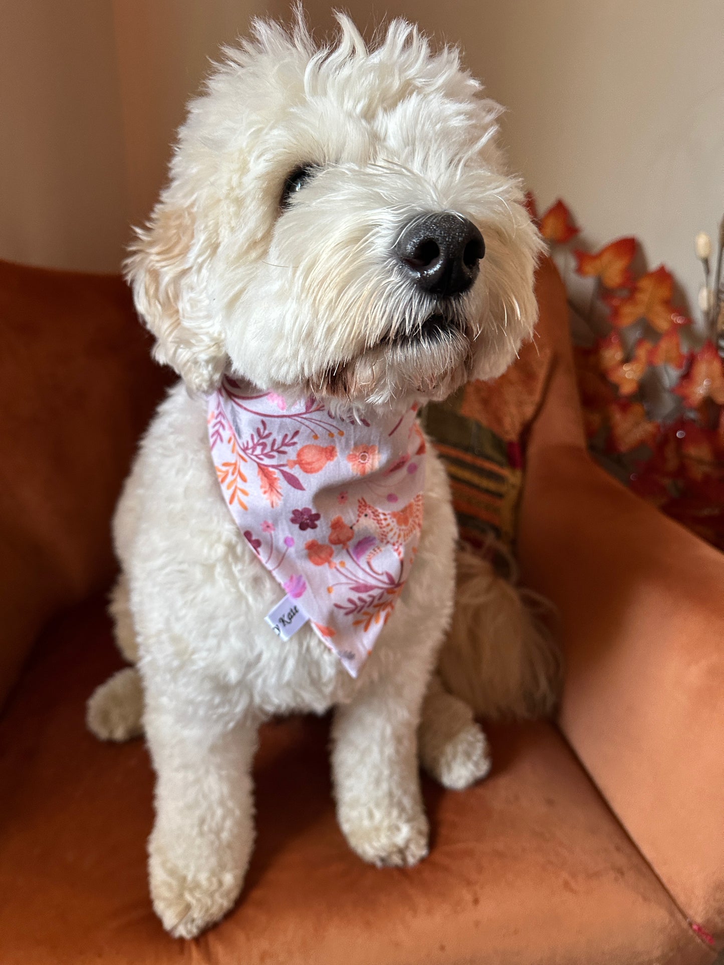 A fluffy white dog dons the Crafts by Kate Cotton Pet Scrunchie Bandana - Woodland Floral while sitting on a brown chair. In the background, woodland floral patterns enhance the autumn-themed decor with red and orange leaves.
