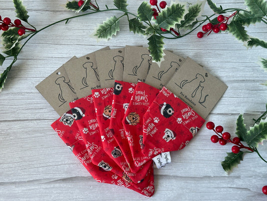Six red "Here comes Santa Paws" cotton pet bandanas by Crafts by Kate are fanned out on a white wooden surface, surrounded by green holly and red berries. Each features a collar attachment and kraft tag with dog outline.