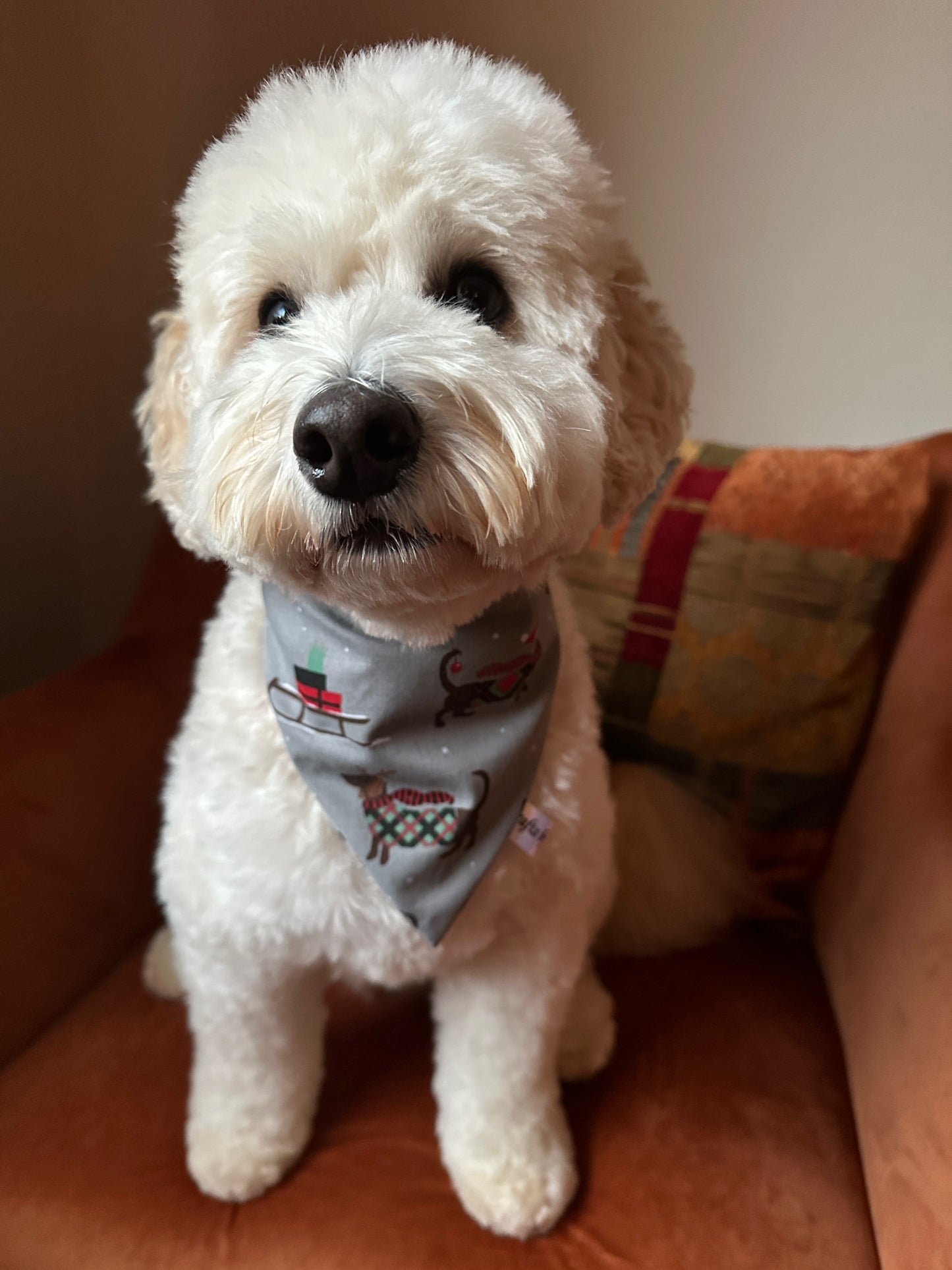 Cotton Pet Scrunchie Bandana - Festive Sausage Dogs
