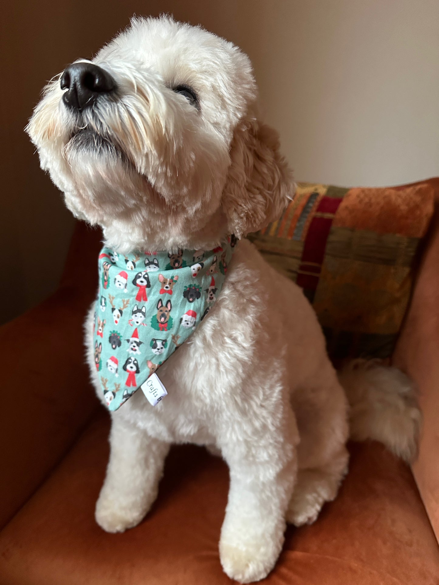 Cotton Pet Scrunchie Bandana - Puppy Christmas Party