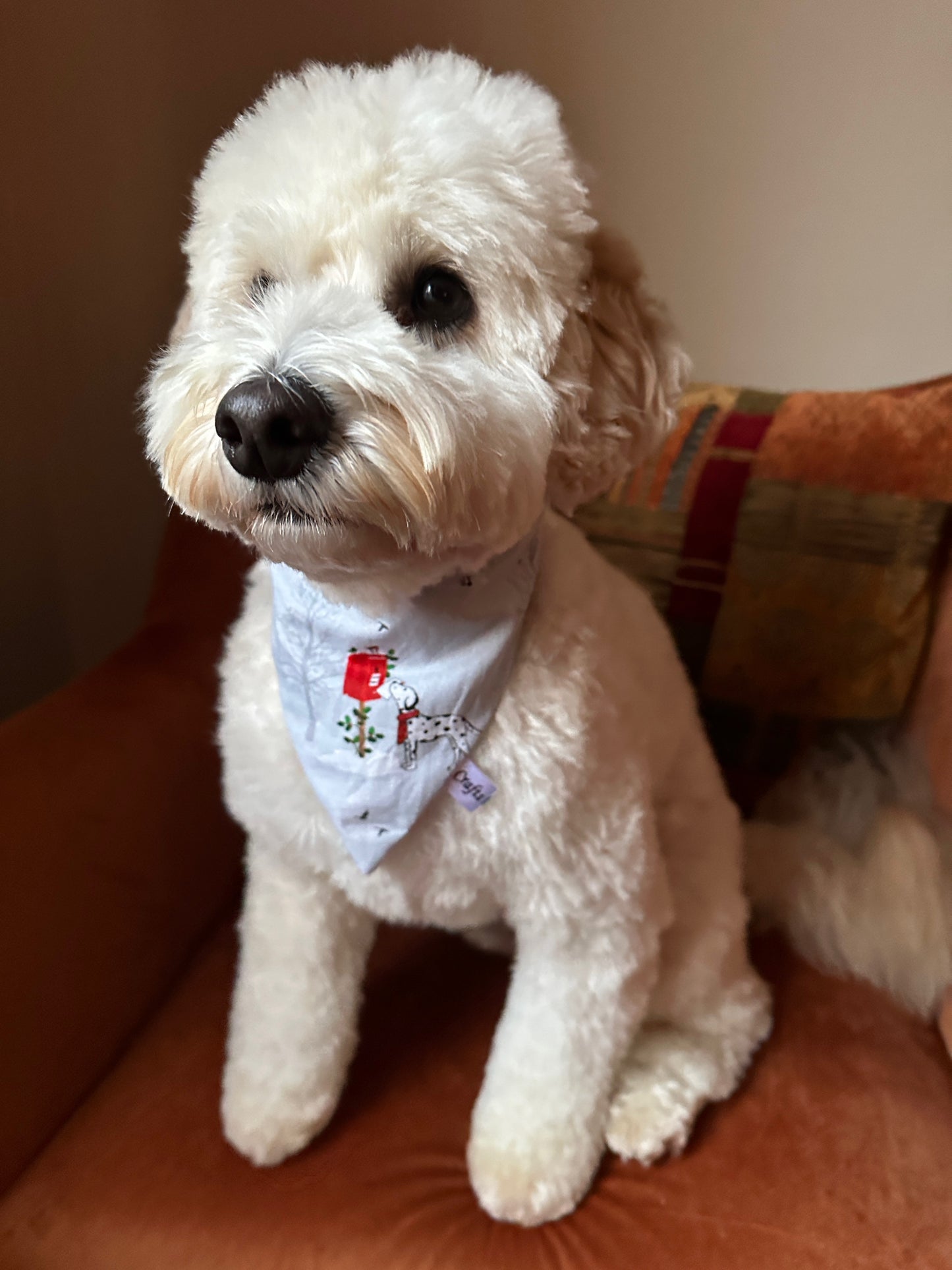 Cotton Pet Scrunchie Bandana - Festive Dalmatians