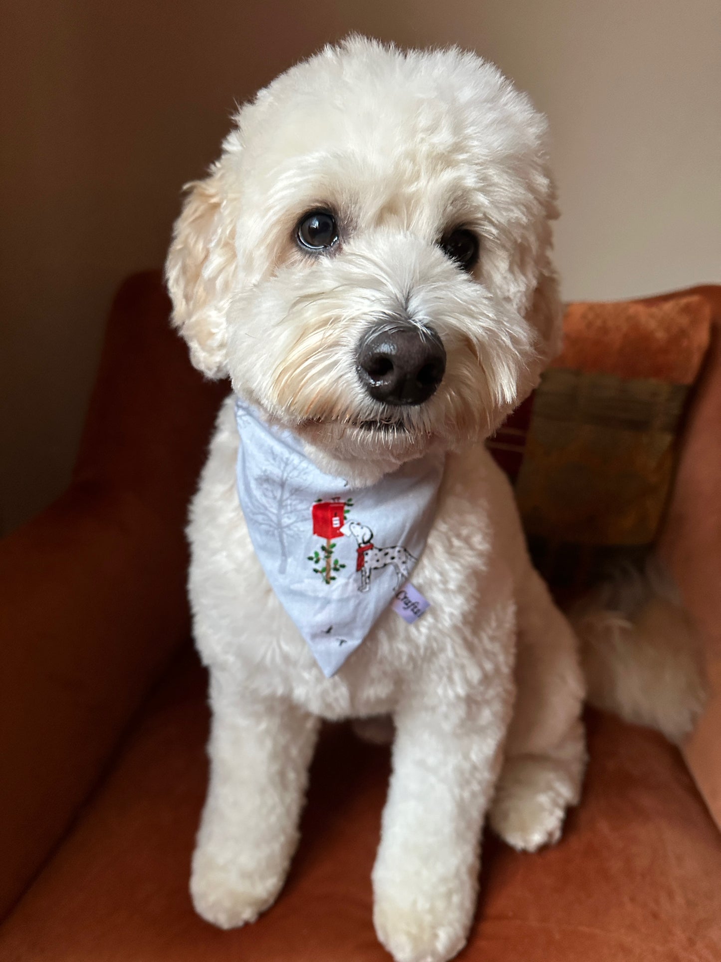 Cotton Pet Scrunchie Bandana - Festive Dalmatians